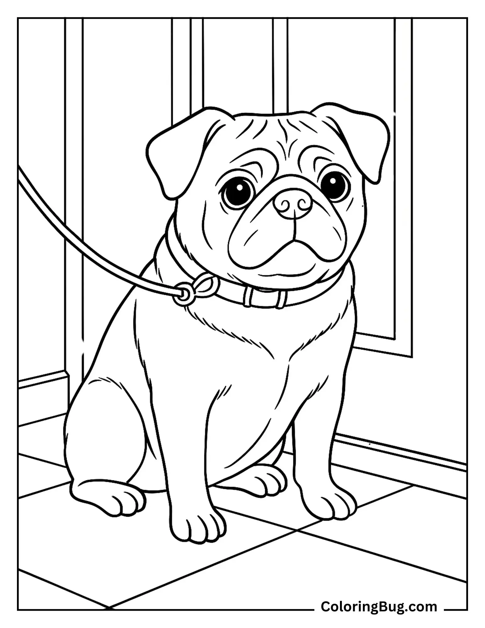 Pug Sitting Near the Front Door Wearing a Leash Coloring Sheet
