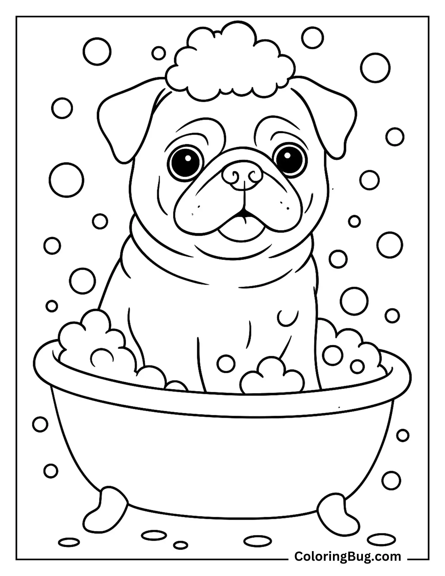Pug in a Small Bathtub With Bubbles Around Coloring Sheet