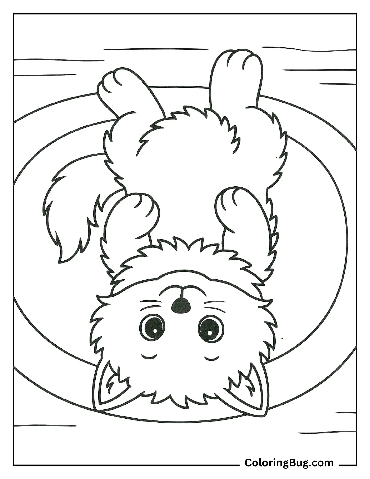 Ragdoll Kitten Lying Upside Down on a Rug Coloring Sheet