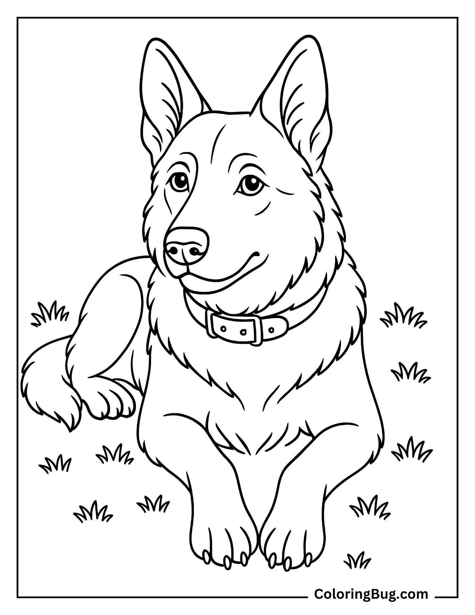 Realistic German Shepherd With Collar Lying Down Coloring Sheet