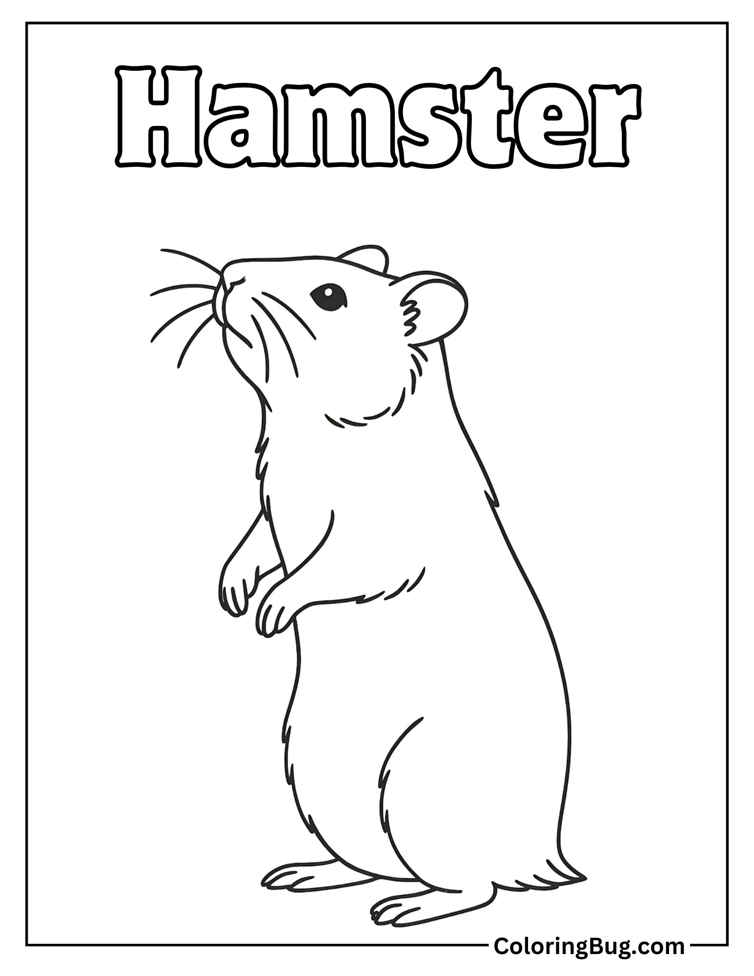 Realistic Hamster with Text Coloring Sheet