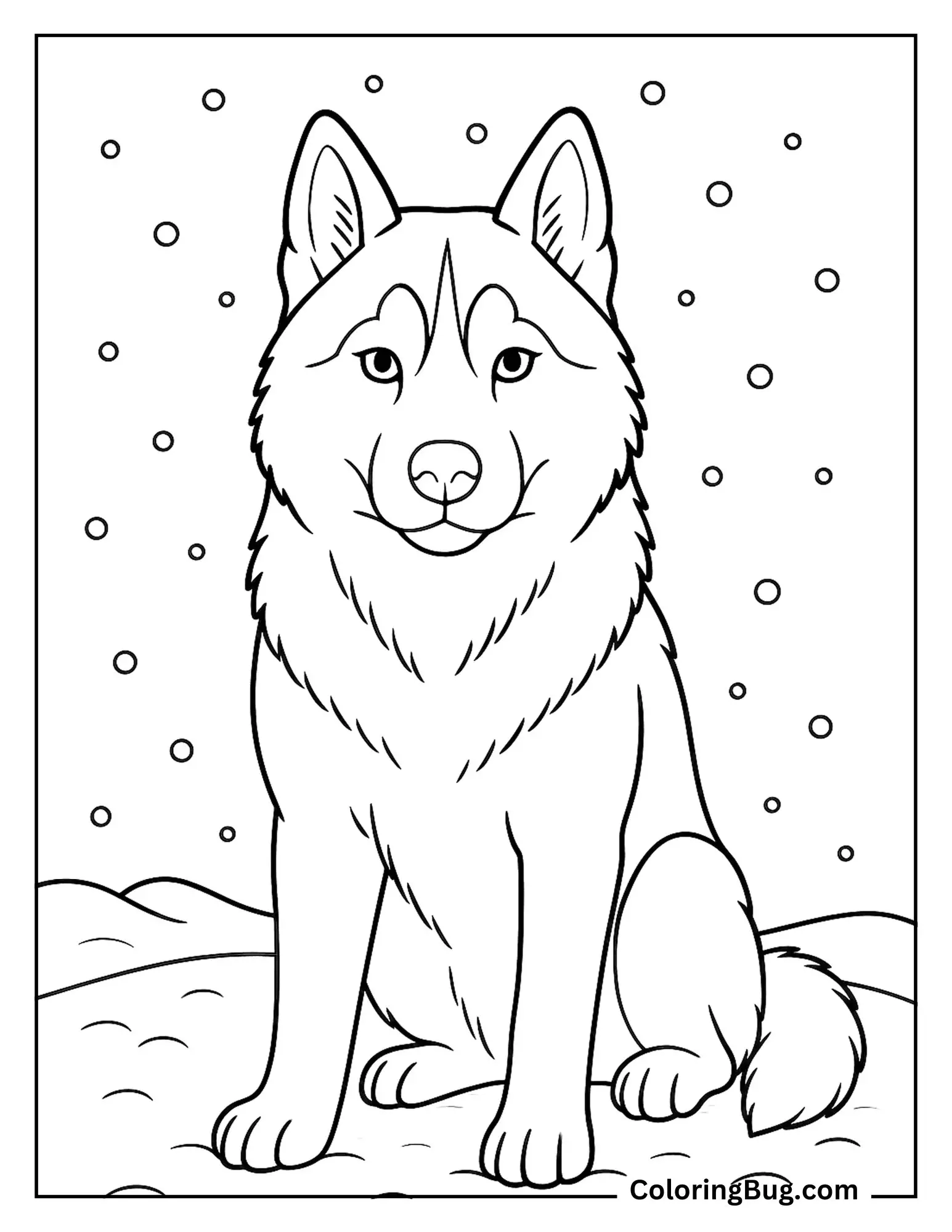 Realistic Husky Coloring Sheet
