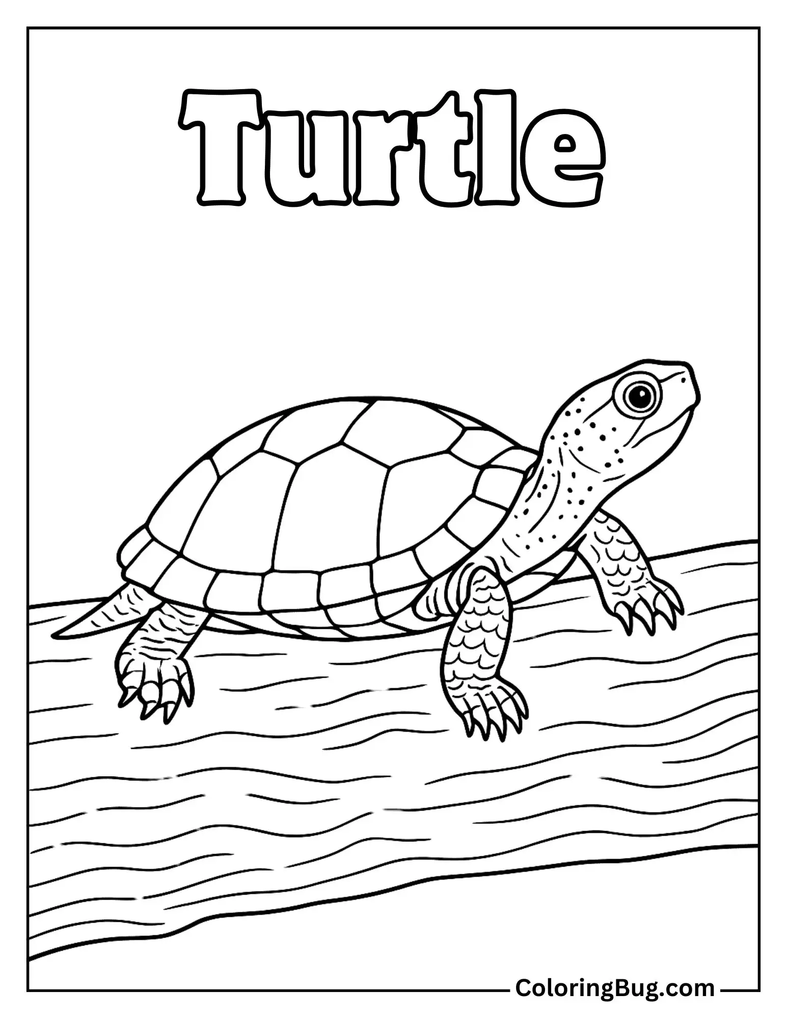 Realistic Turtle on a Log with Text Coloring Sheet