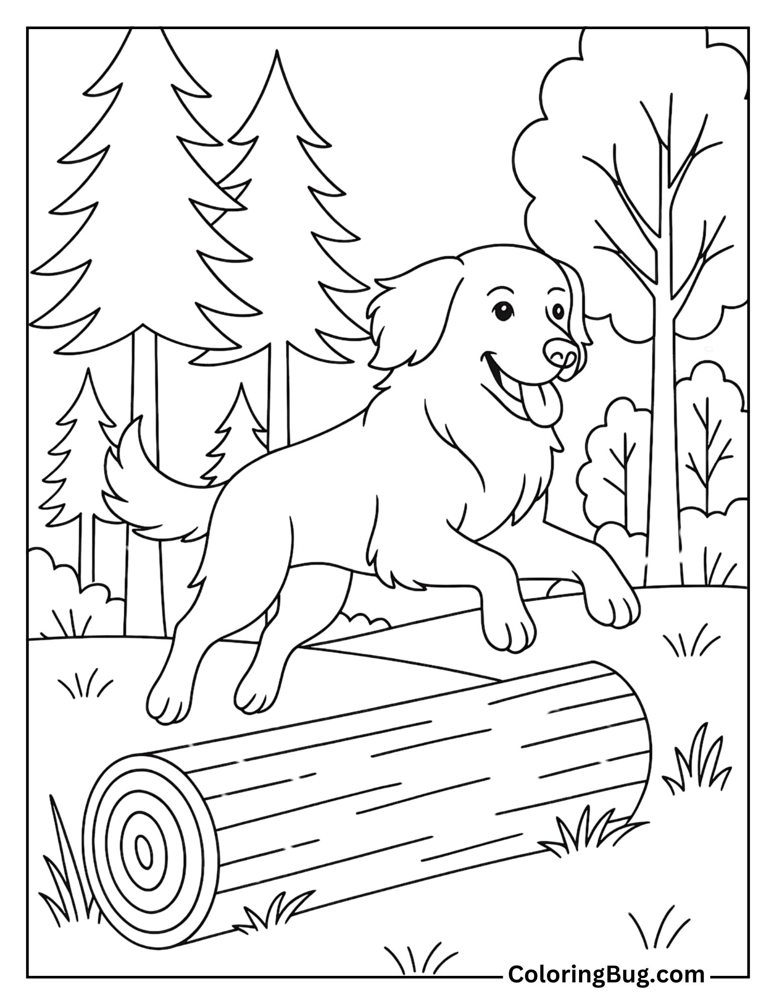 Retriever Jumping Proudly on a Log Coloring Sheet