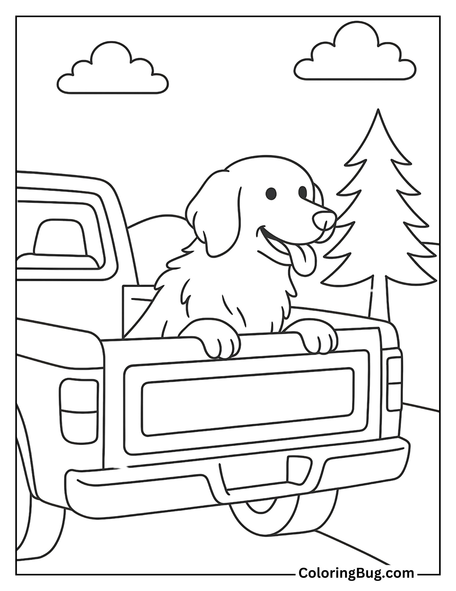 Retriever Looking Out the Back of a Pickup Truck Coloring Sheet