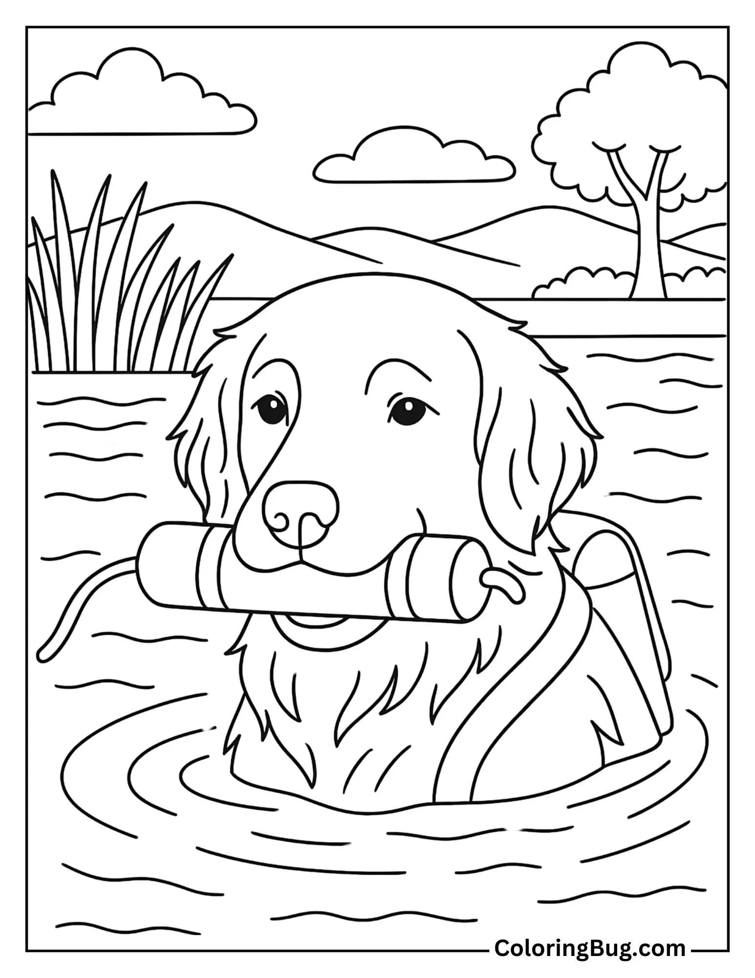 Retriever Retrieving Dummies From a Pond Coloring Sheet