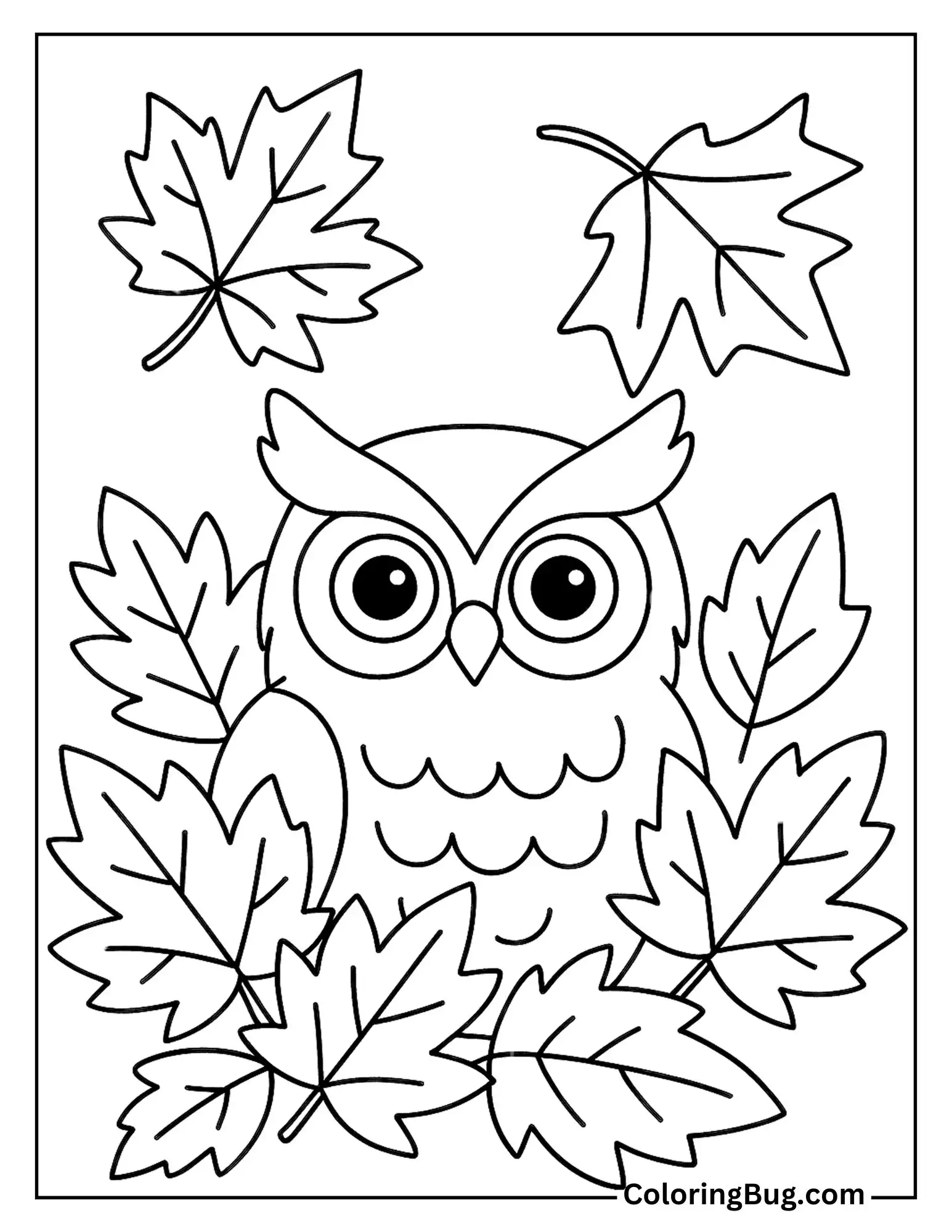 Screech Owl Hiding Among Autumn Leaves