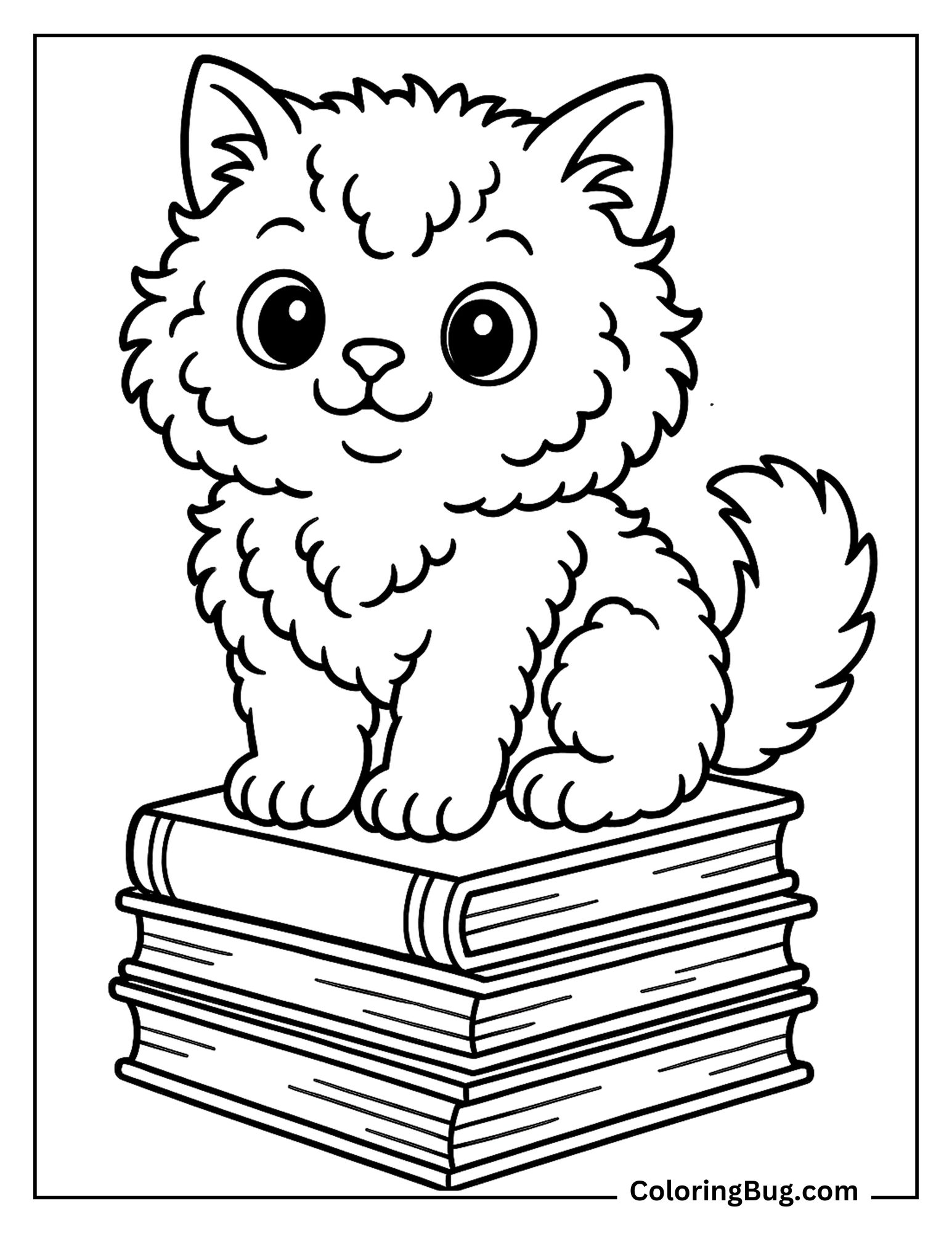 Selkirk Rex Kitten Sitting on a Pile of Books