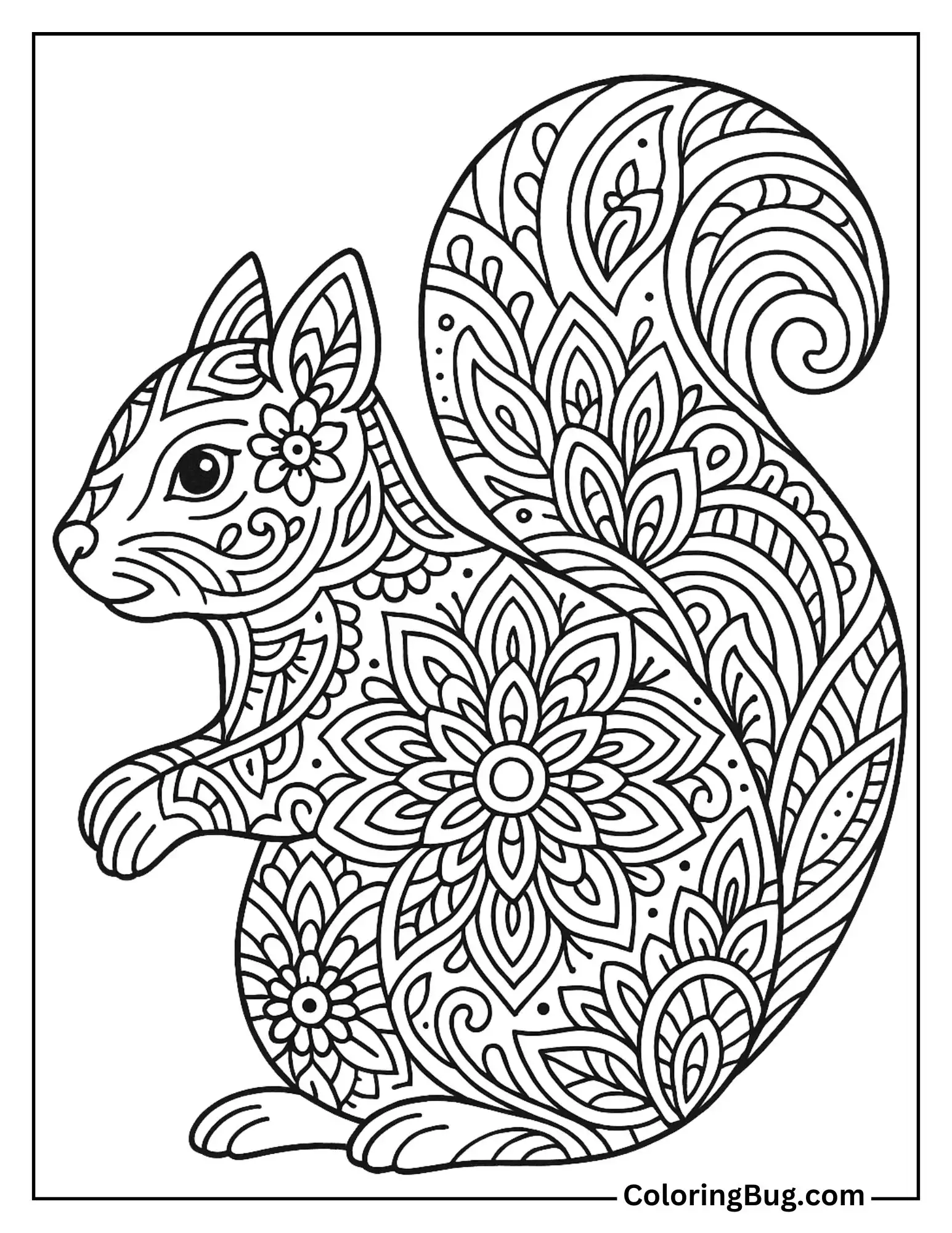 Squirrel Mandala Coloring Sheet