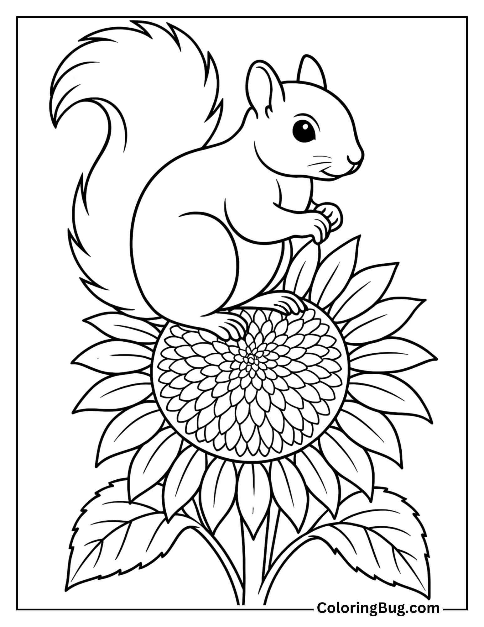 Squirrel Perched on a Giant Sunflower Coloring Sheet
