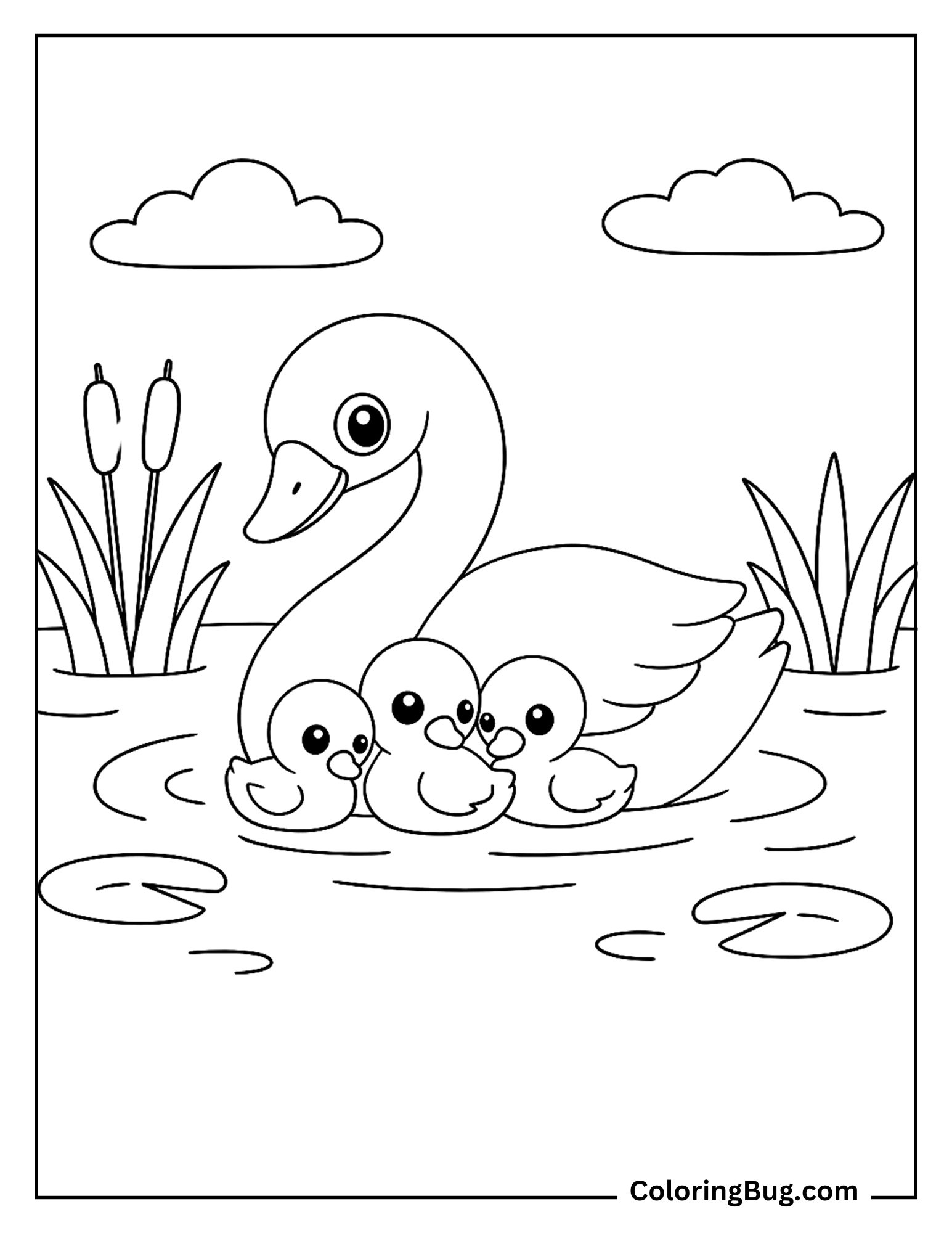 Swan Cuddling Baby Cygnets Coloring Sheet