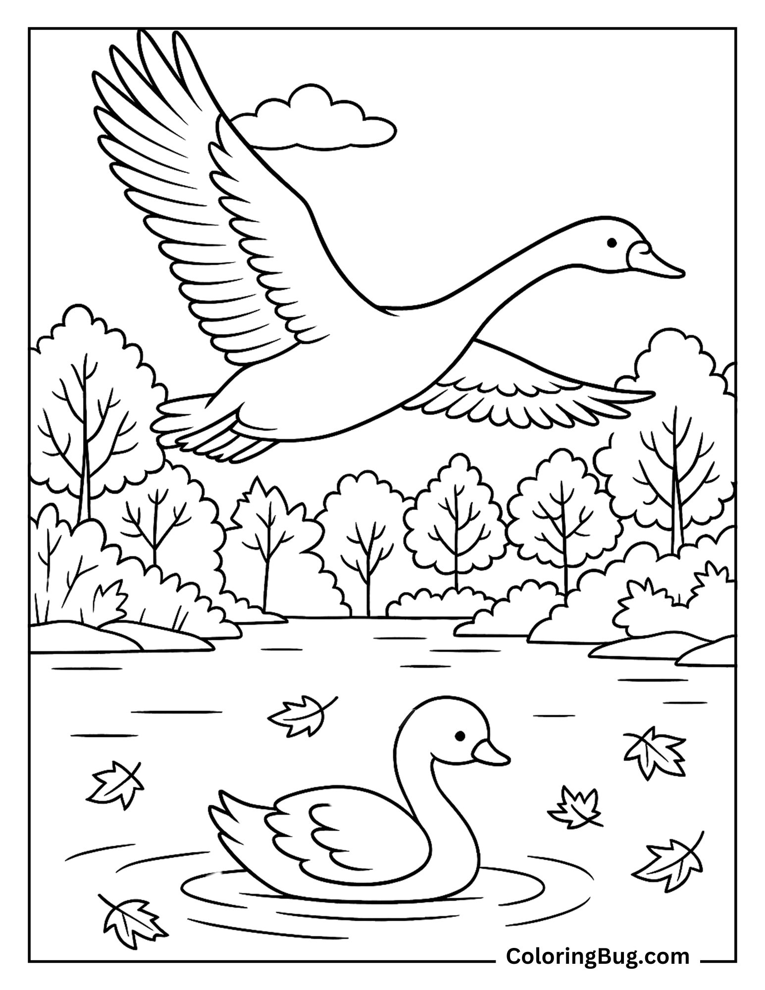 Swan Flying Low Over an Autumn Forest Lake Coloring Sheet