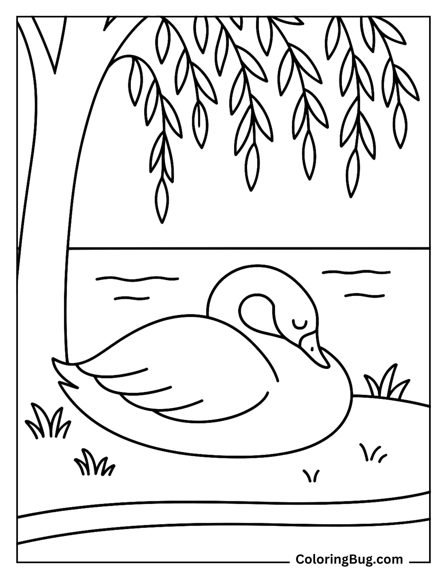 Swan Napping Under a Willow Tree Coloring Sheet