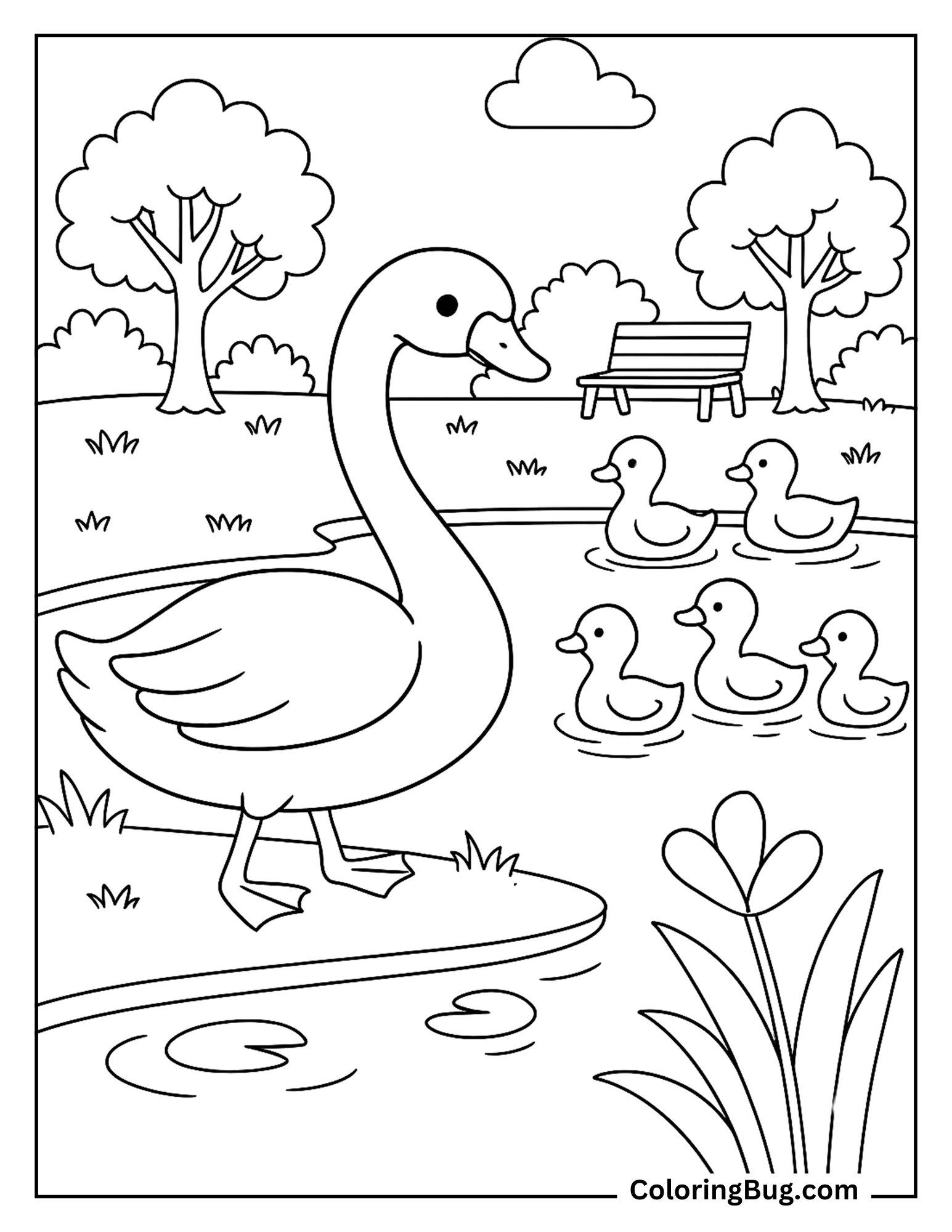 Swan Standing Near Ducks in a Park Pond Coloring Sheet