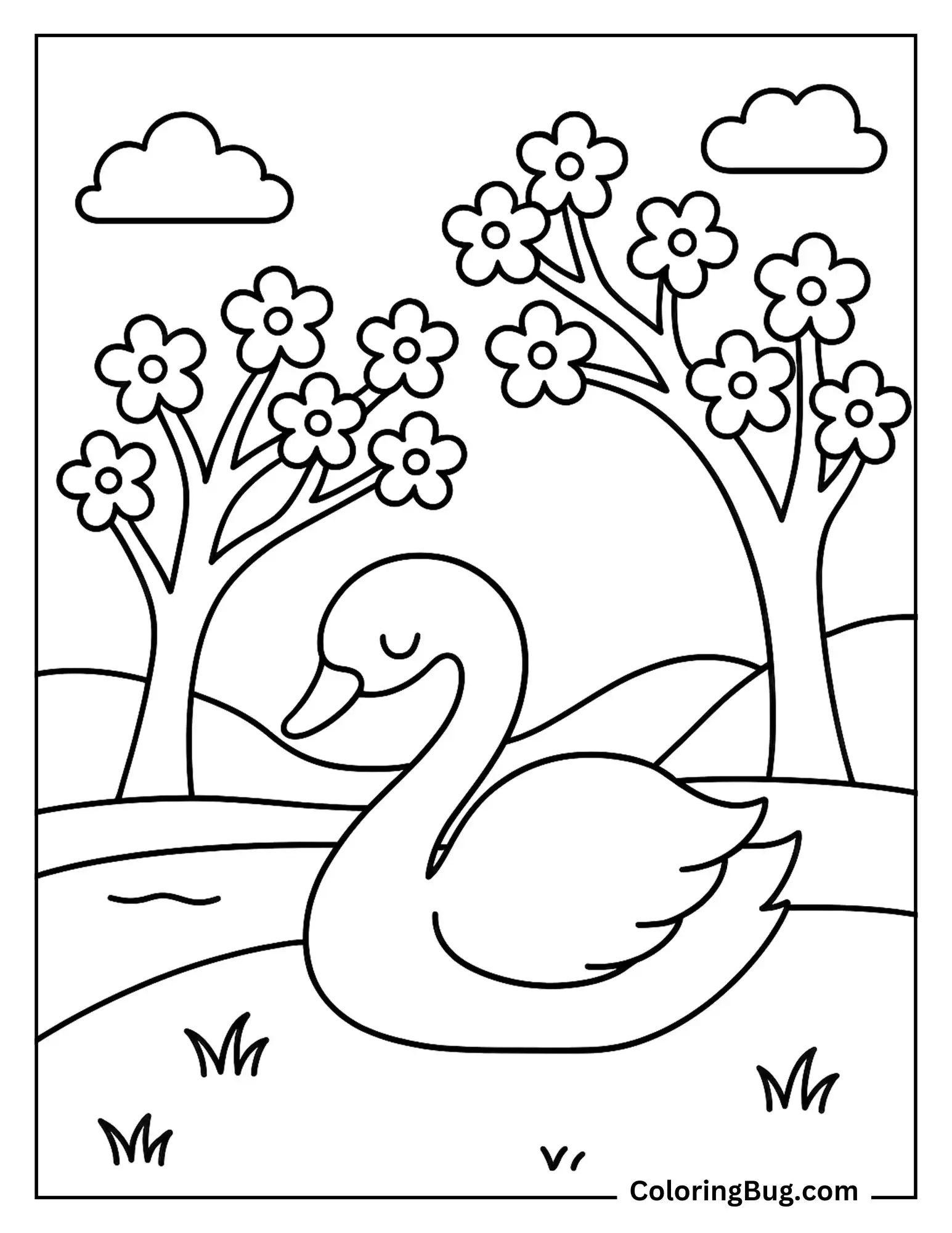 Swan With Cherry Blossom Trees by a Pond Coloring Sheet