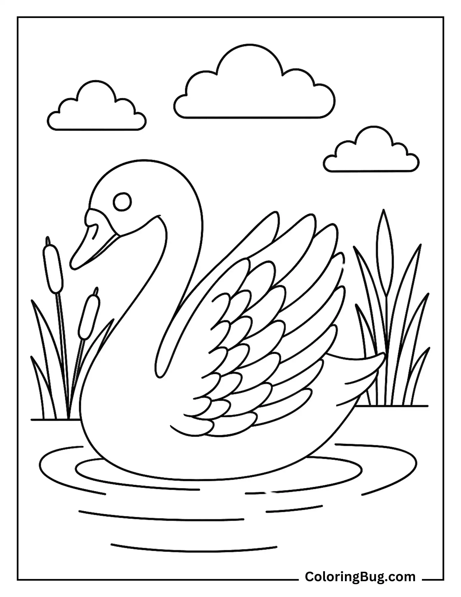 Swan in Pond Coloring Sheet