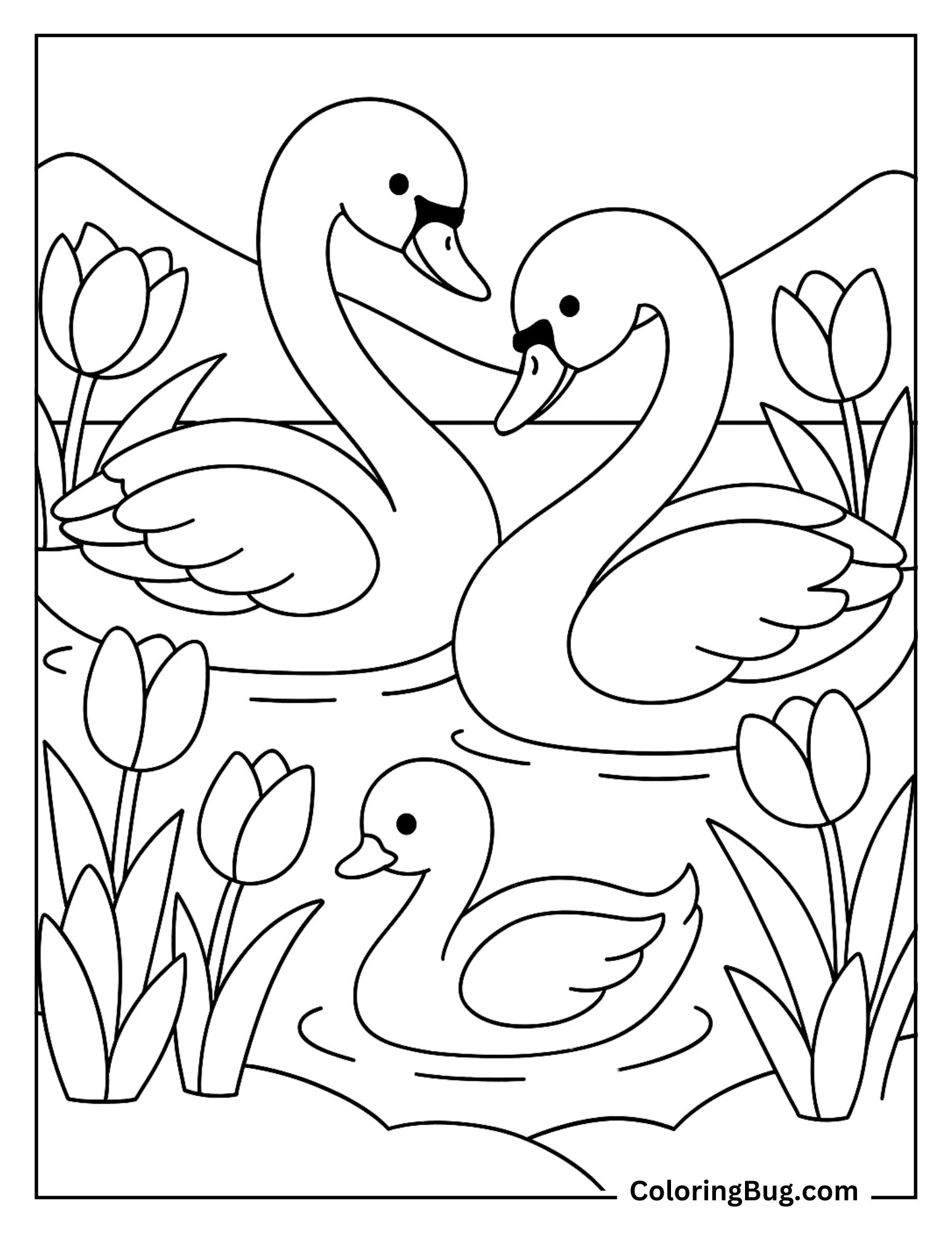 Swans With Blooming Tulips Coloring Sheet