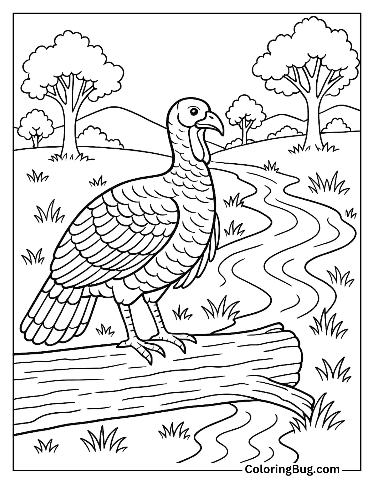 Turkey Perched on a Fallen Log Near a Stream Coloring Sheet