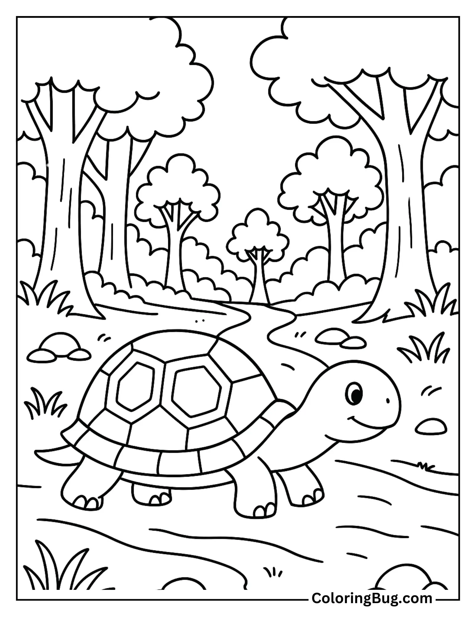 Turtle Crossing a Forest Path Coloring Sheet