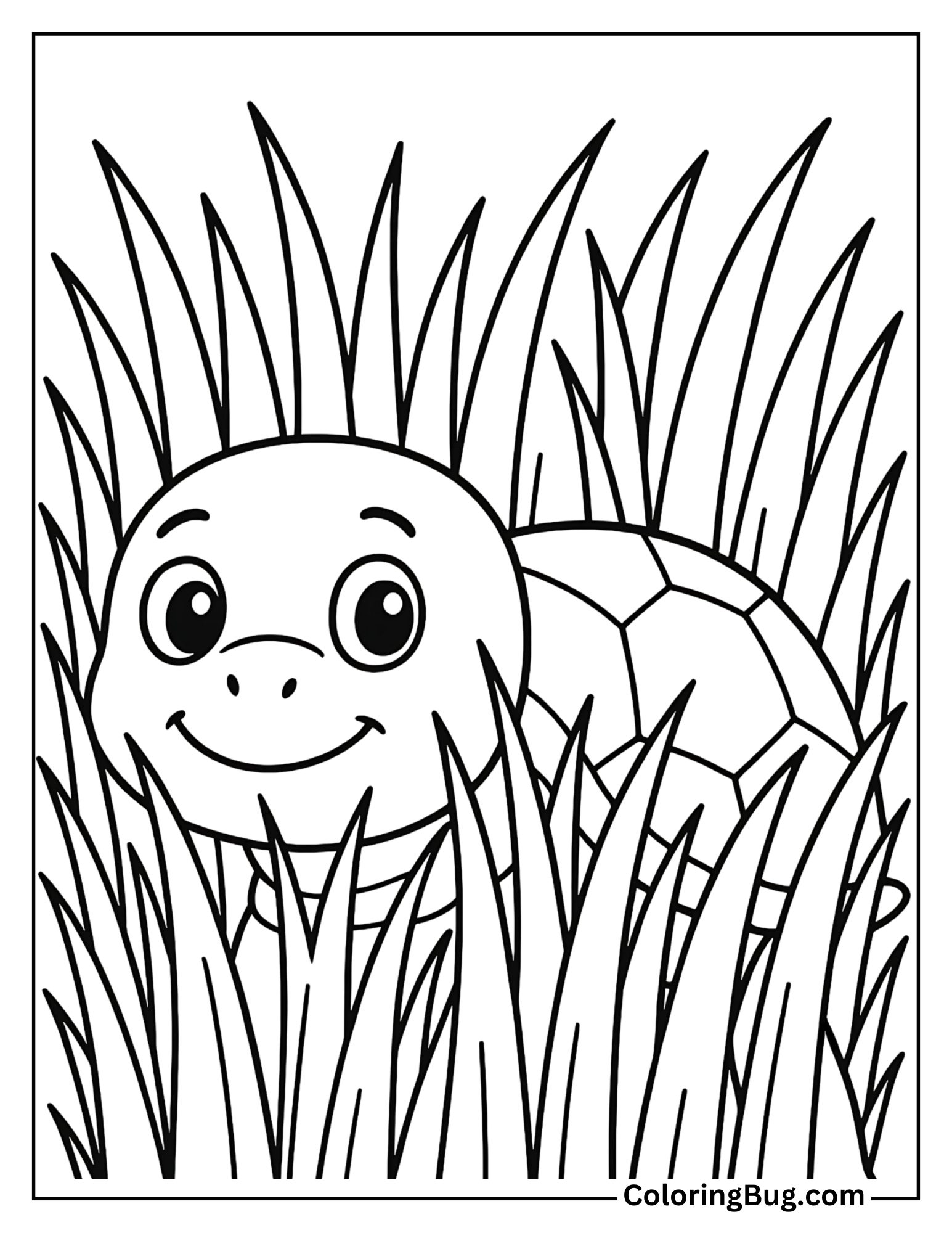 Turtle Hiding Behind Tall Grass Coloring Sheet