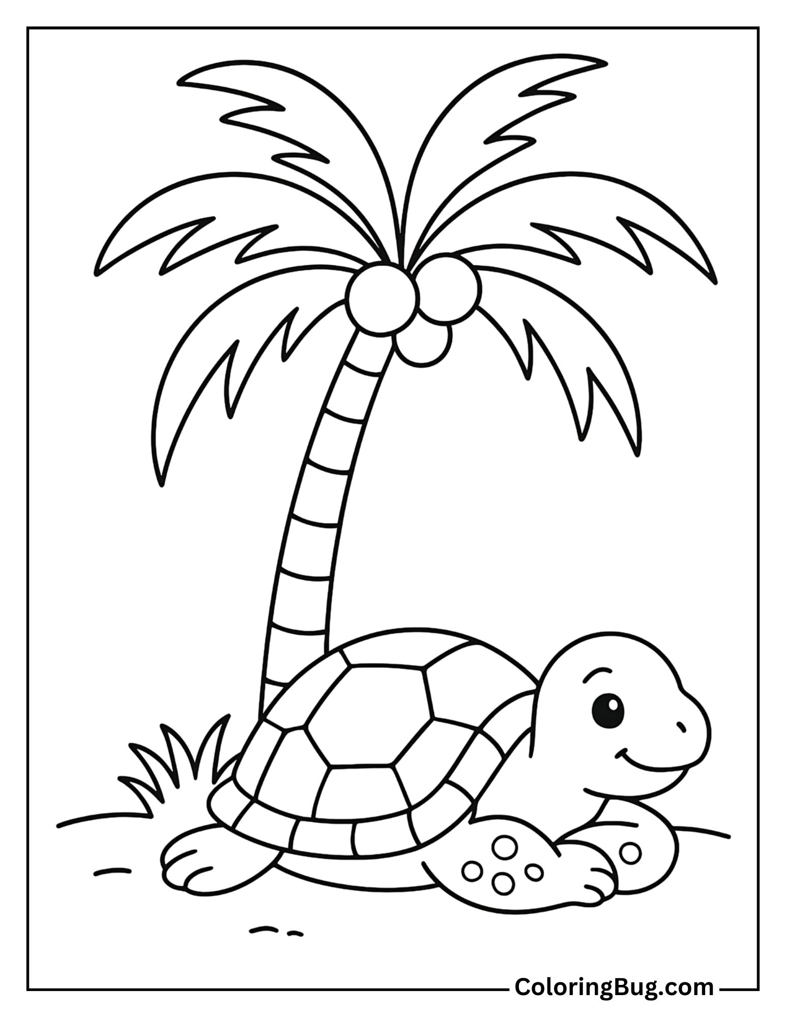 Turtle Resting Under a Palm Tree Coloring Sheet