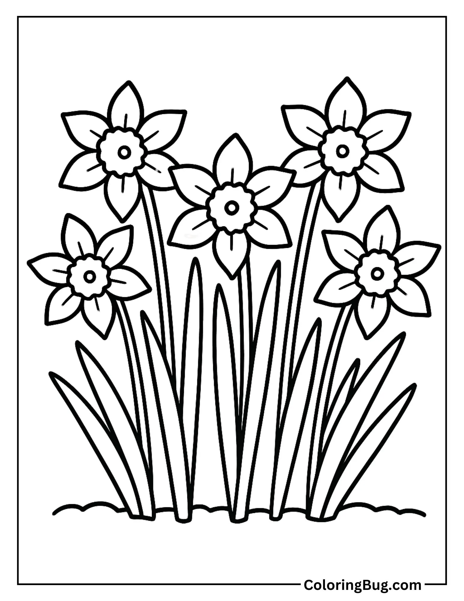 Daffodils Growing in a Garden Bed Coloring Sheet