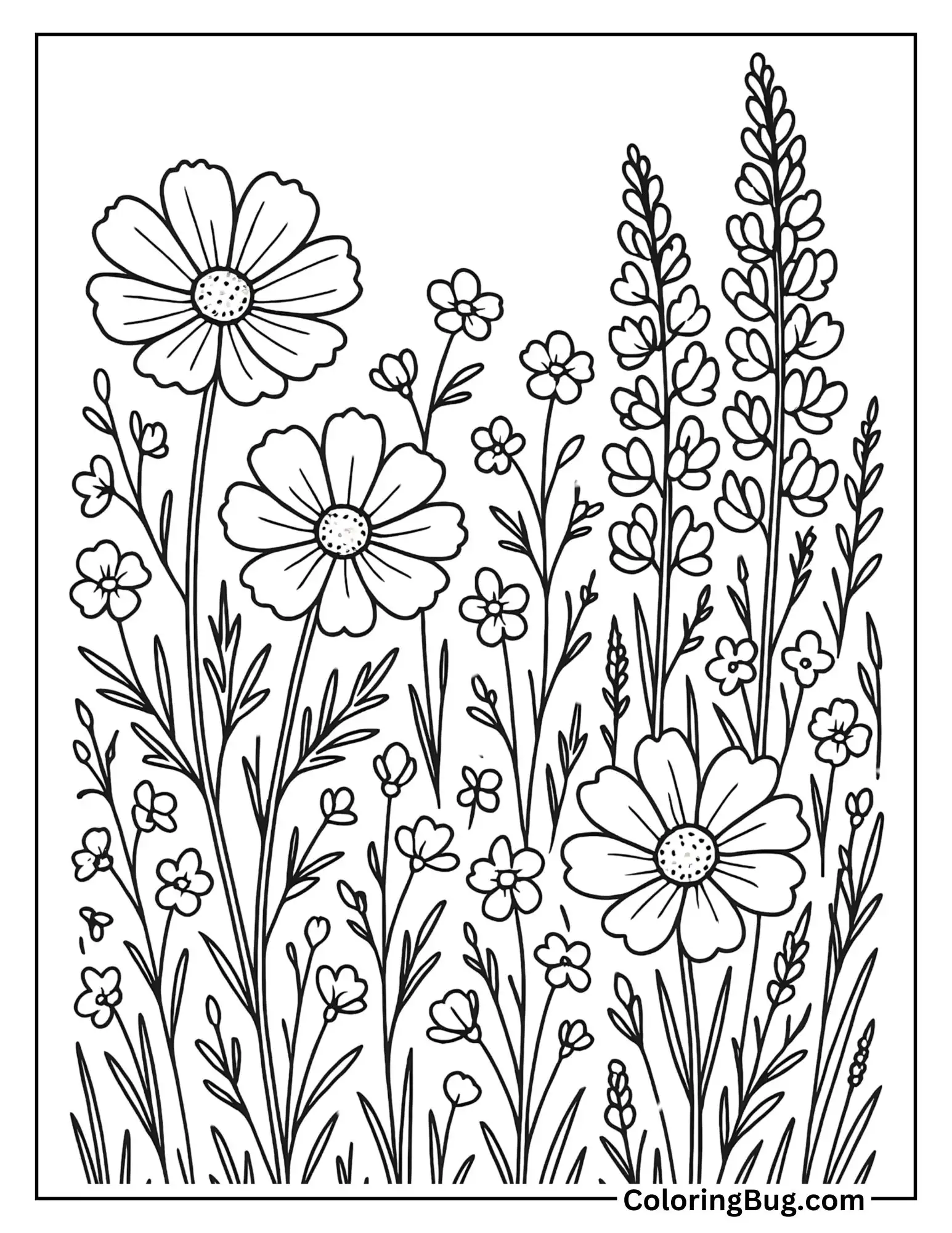 Field of Wildflowers Coloring Sheet