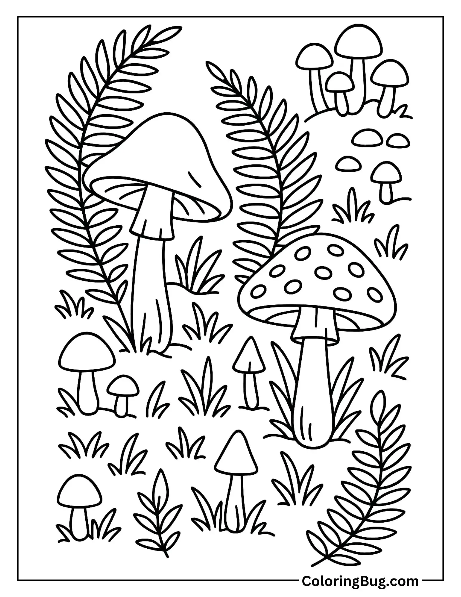 Forest Floor Filled with Mushrooms and Ferns Coloring Sheet