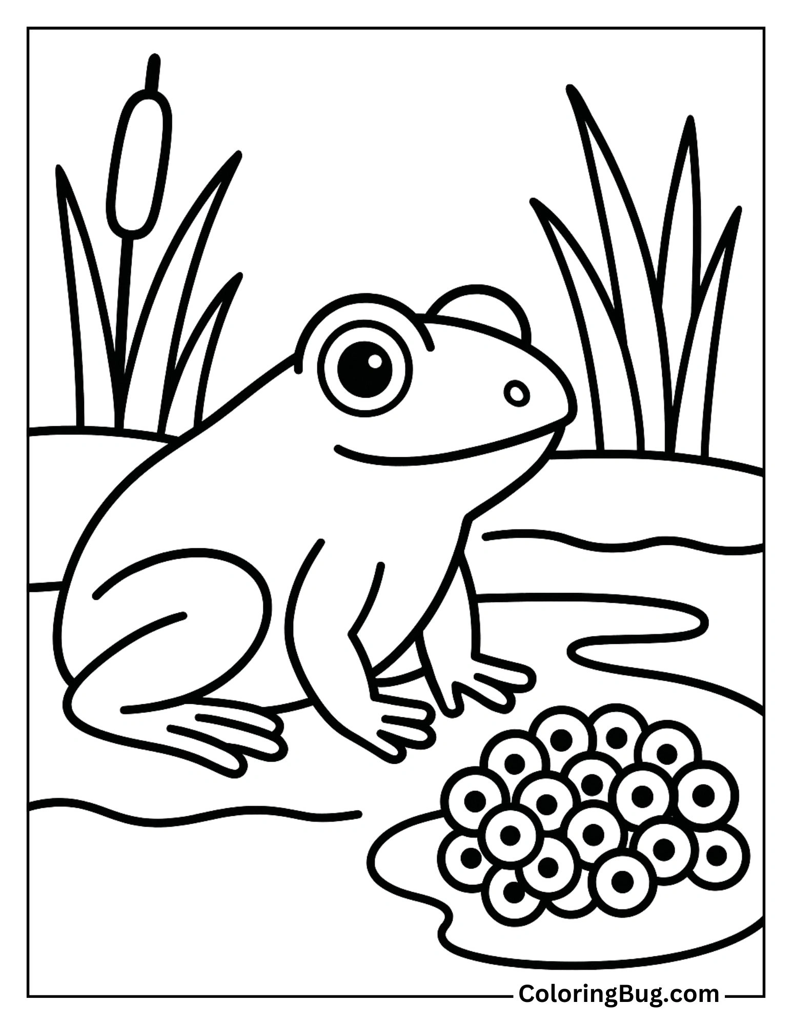 Frog Beside Frogspawn in a Pond Coloring Sheet