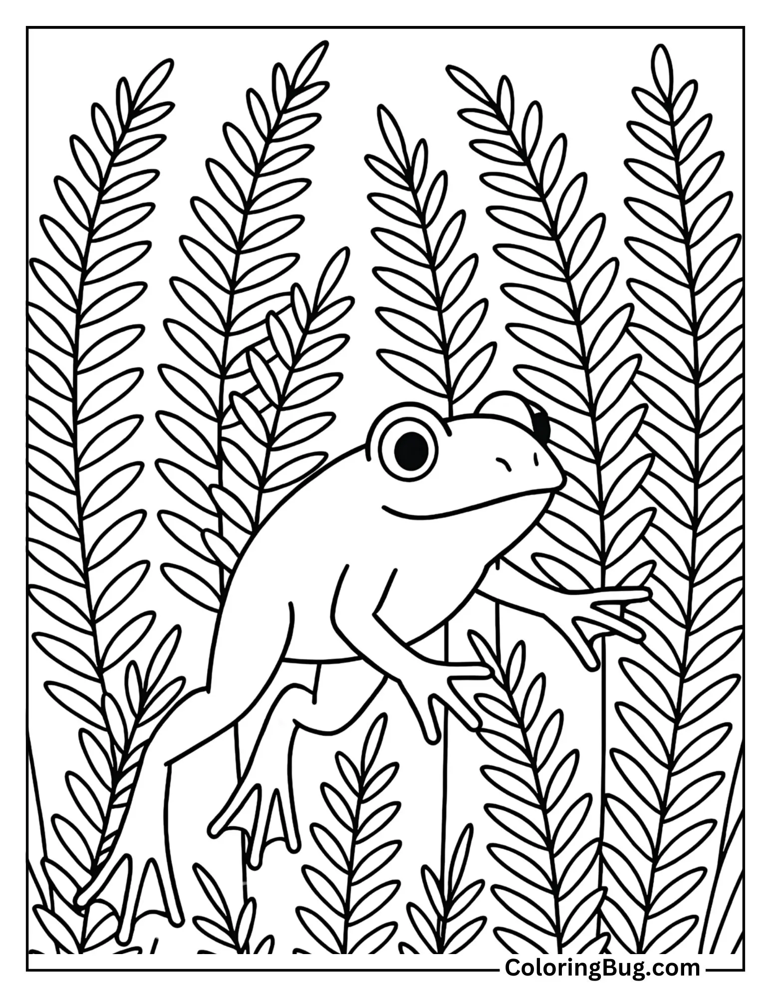 Frog Hopping Through Tall Ferns Coloring Sheet