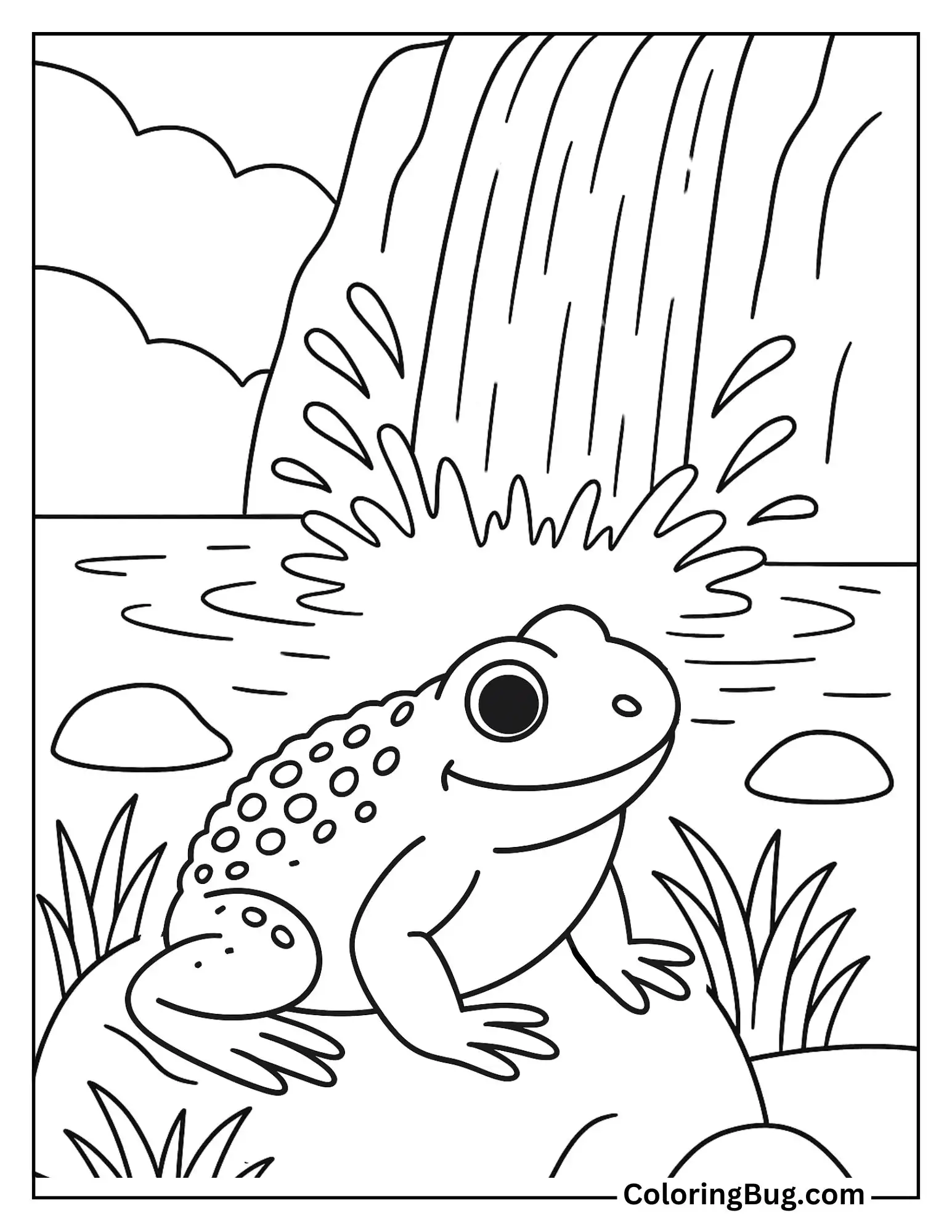Frog Near a Waterfall Spray Zone Coloring Sheet