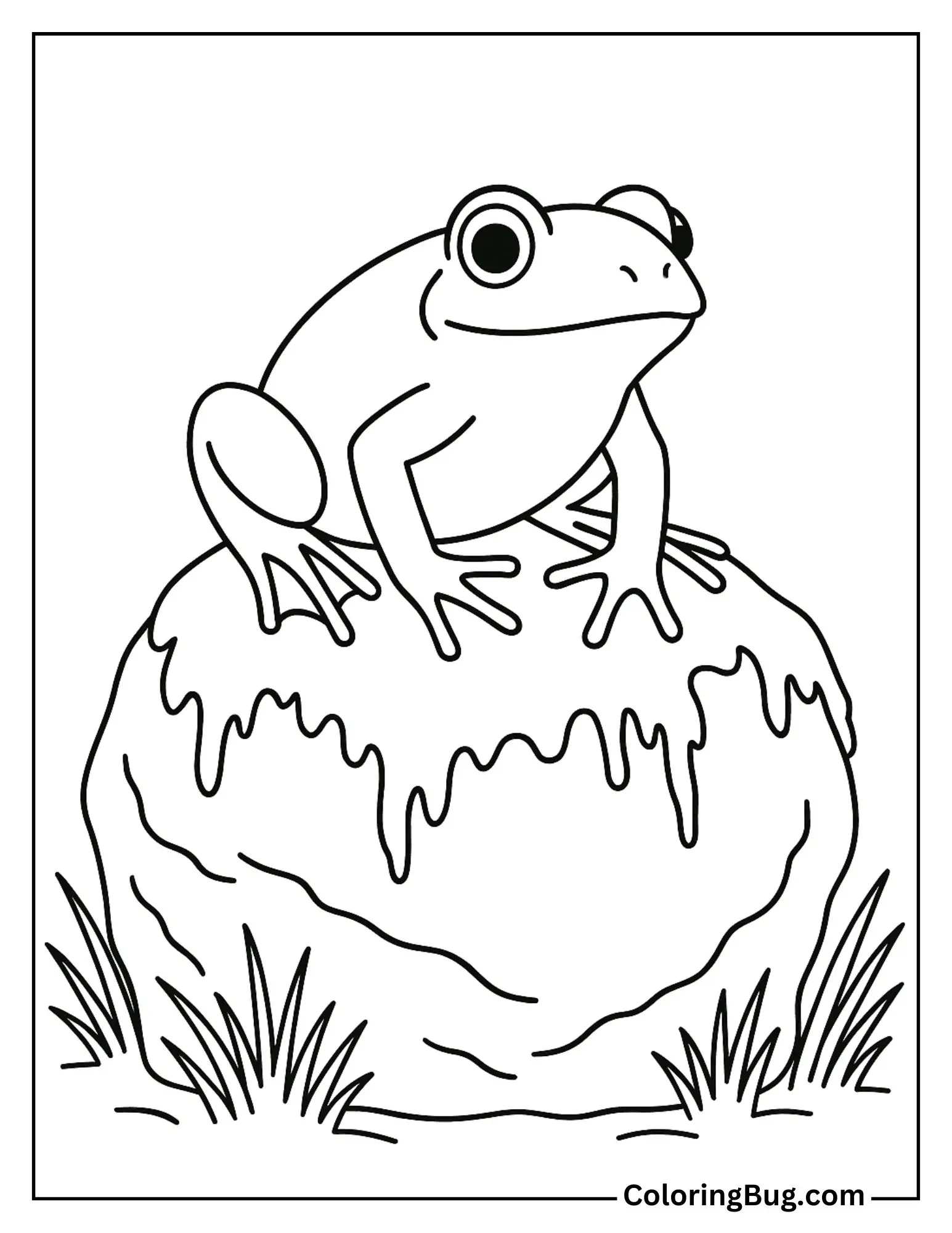 Frog Perched on a Moss-Covered Stone Coloring Sheet