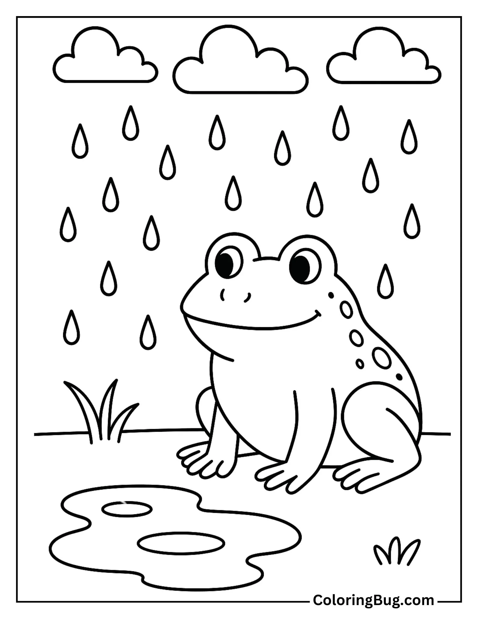 Frog Sitting Near a Puddle After Rainfall Coloring Sheet