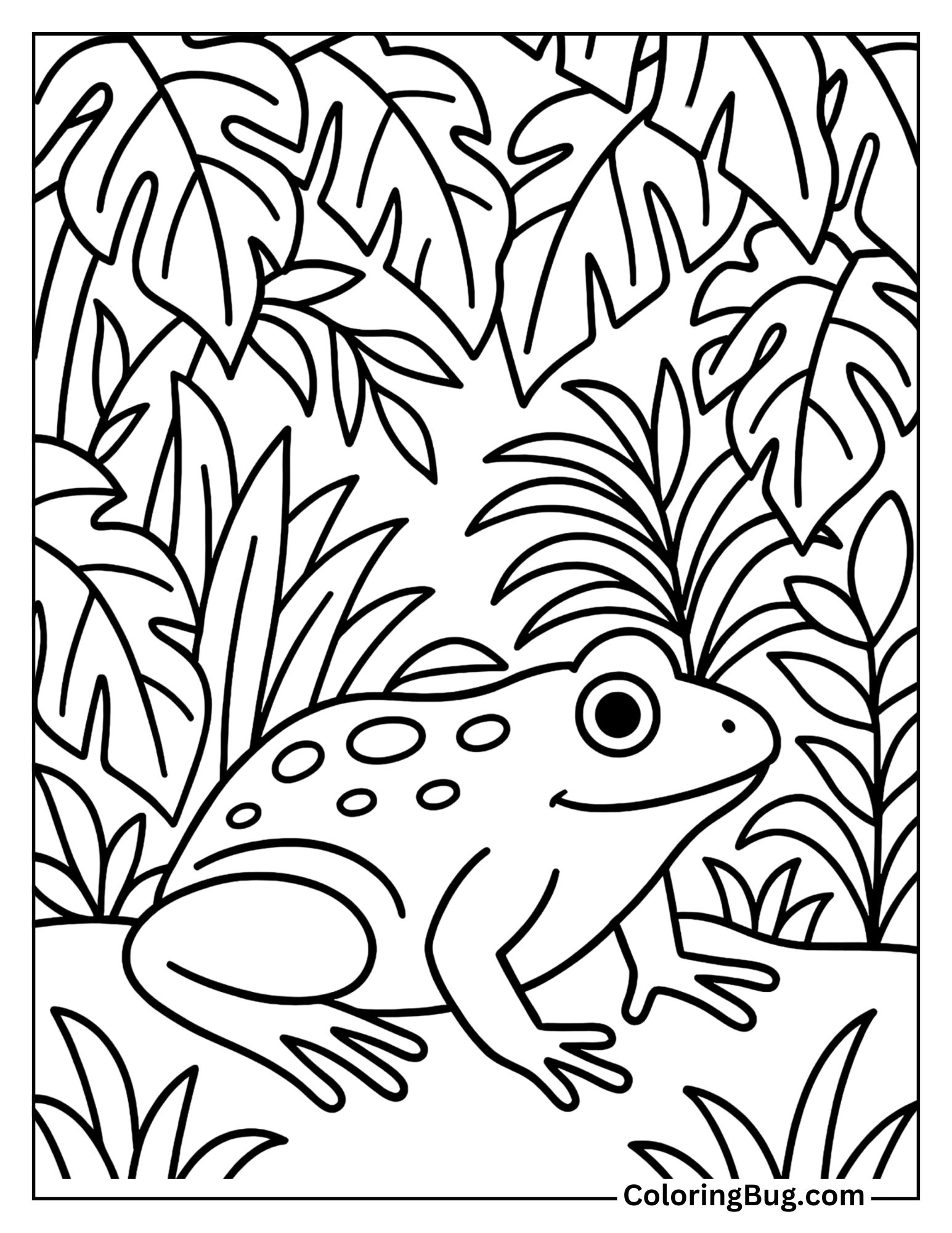 Frog Under Thick Jungle Canopy Coloring Sheet