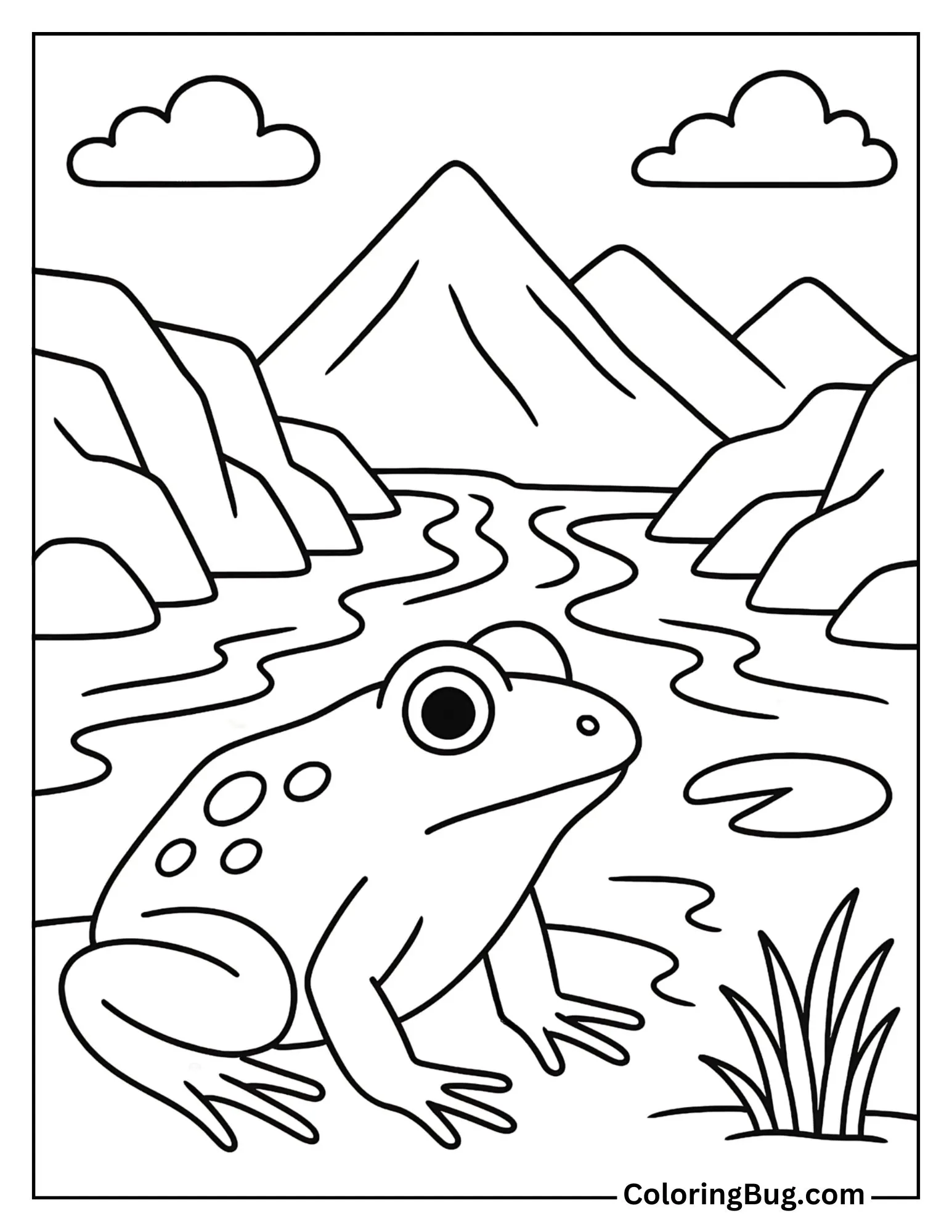 Frog in a Mountain Stream Basin Coloring Sheet