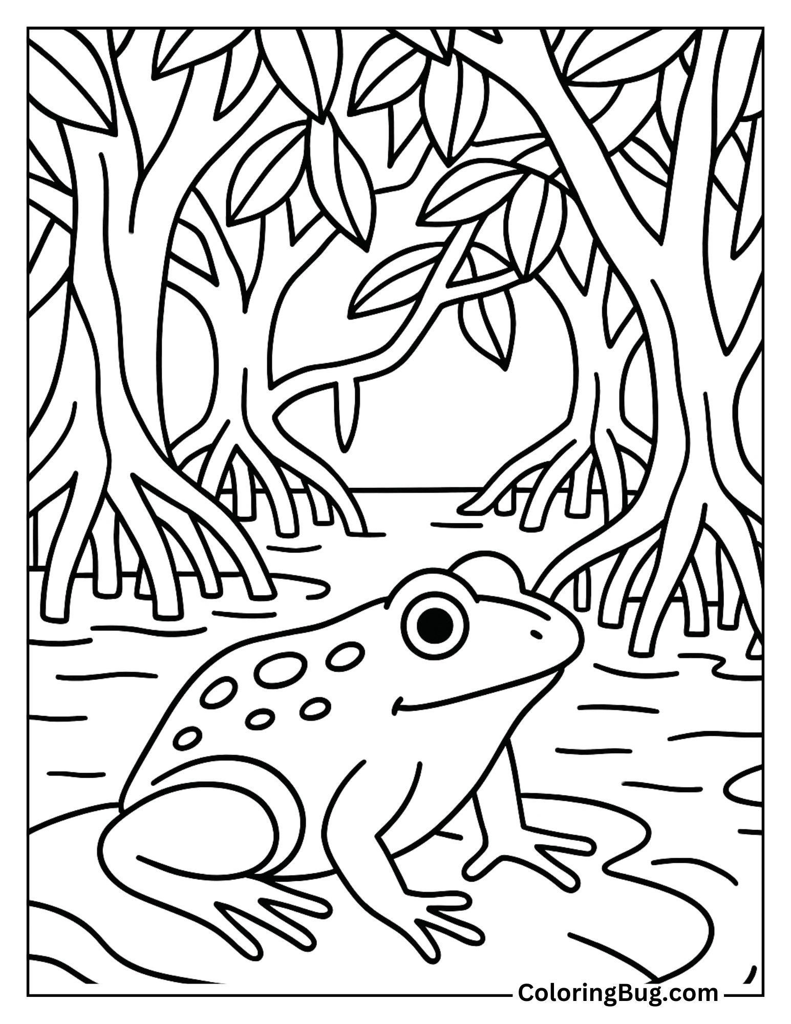 Frog in a Shady Mangrove Swamp Coloring Sheet