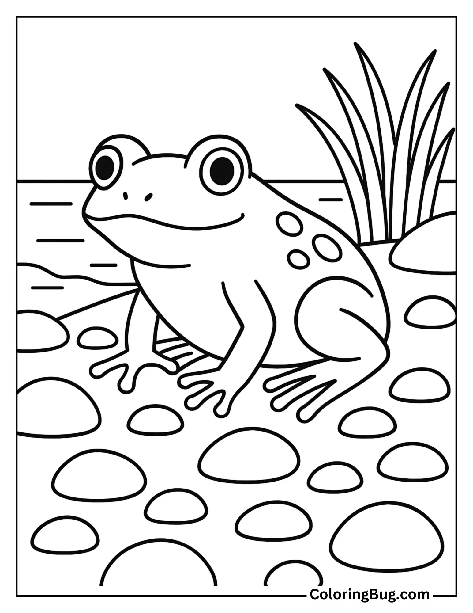 Frog on a Riverbank with Smooth Stones Coloring Sheet