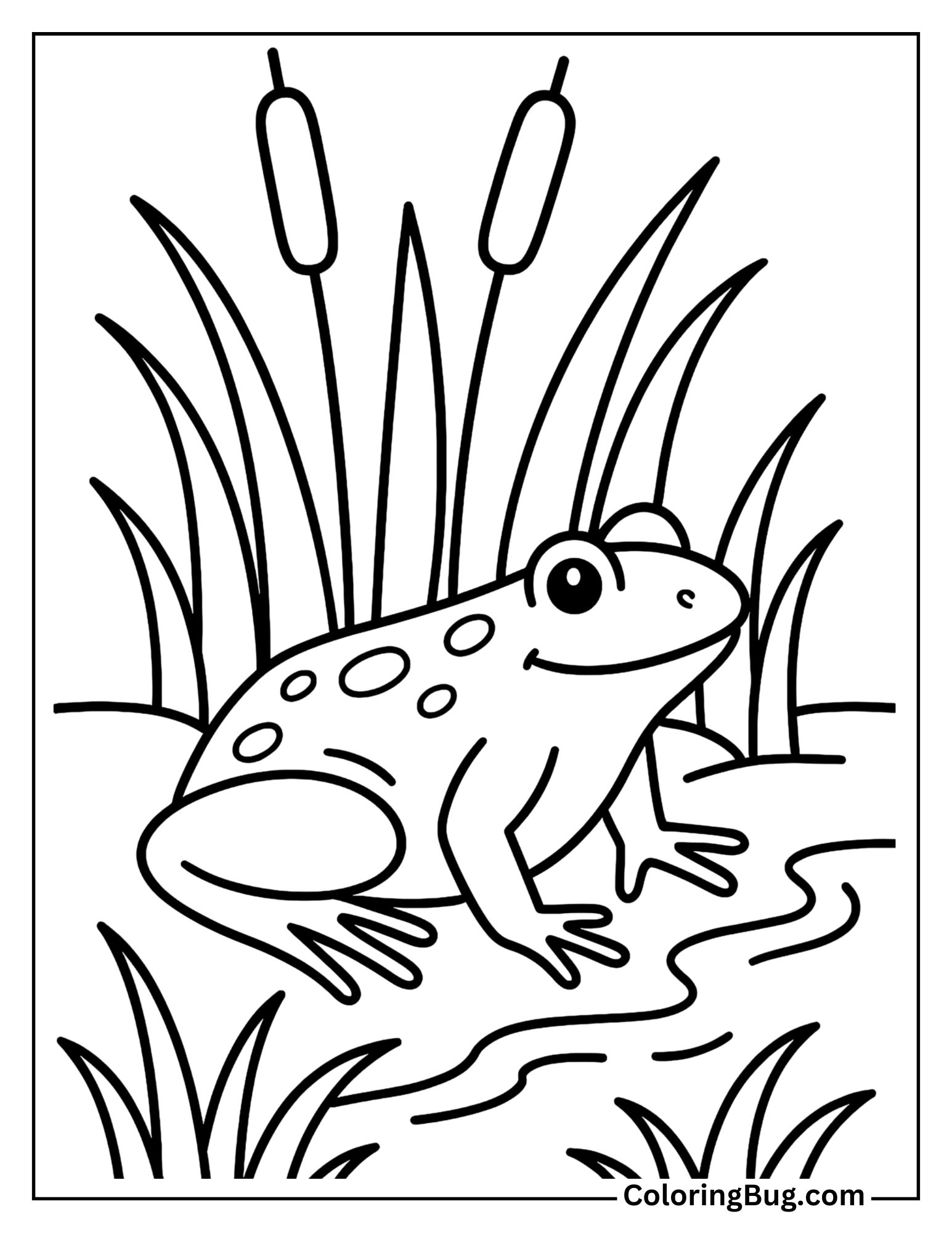 Frog on a Wetland Edge with Reeds Coloring Sheet