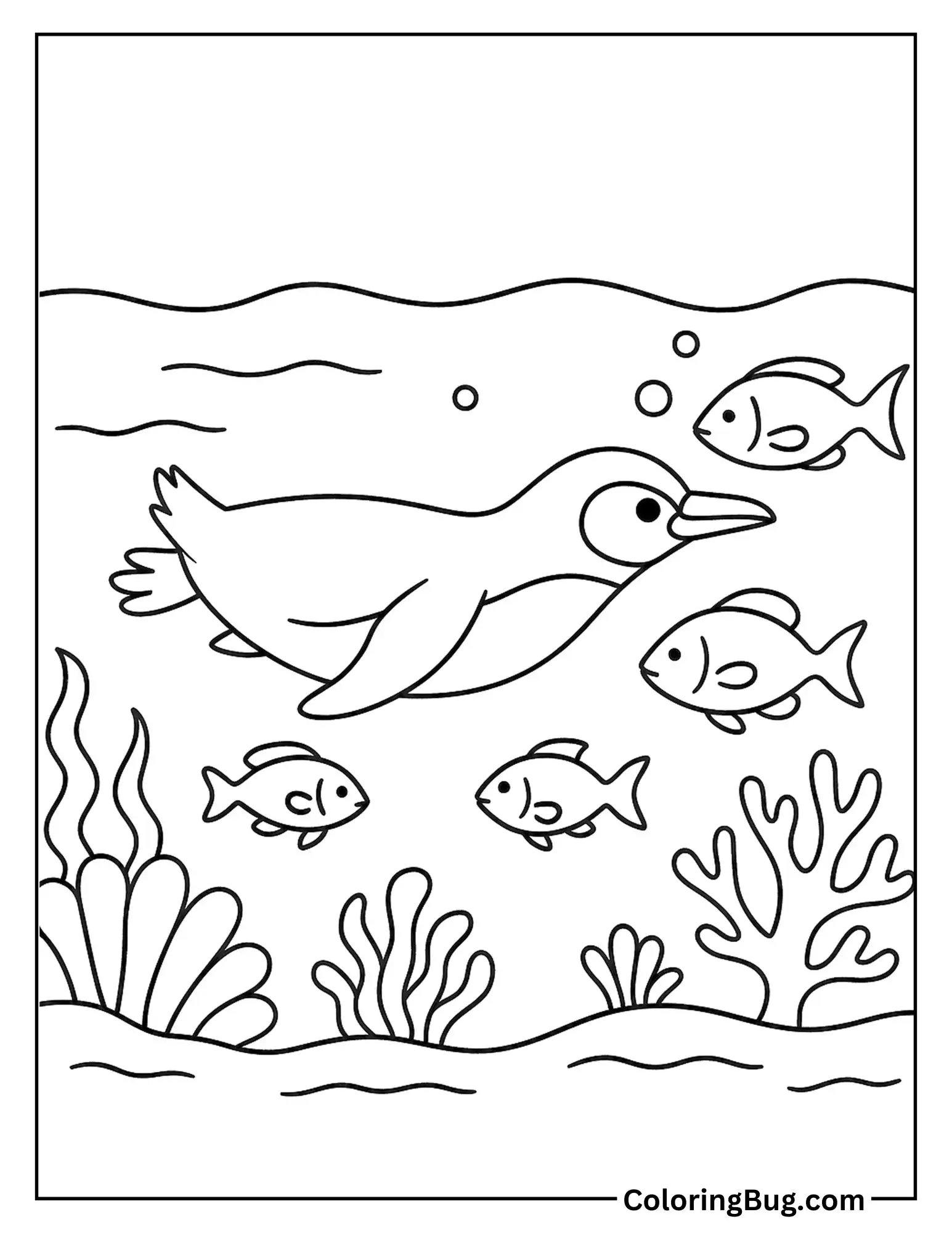 Galapagos Penguin Swimming Coloring Sheet