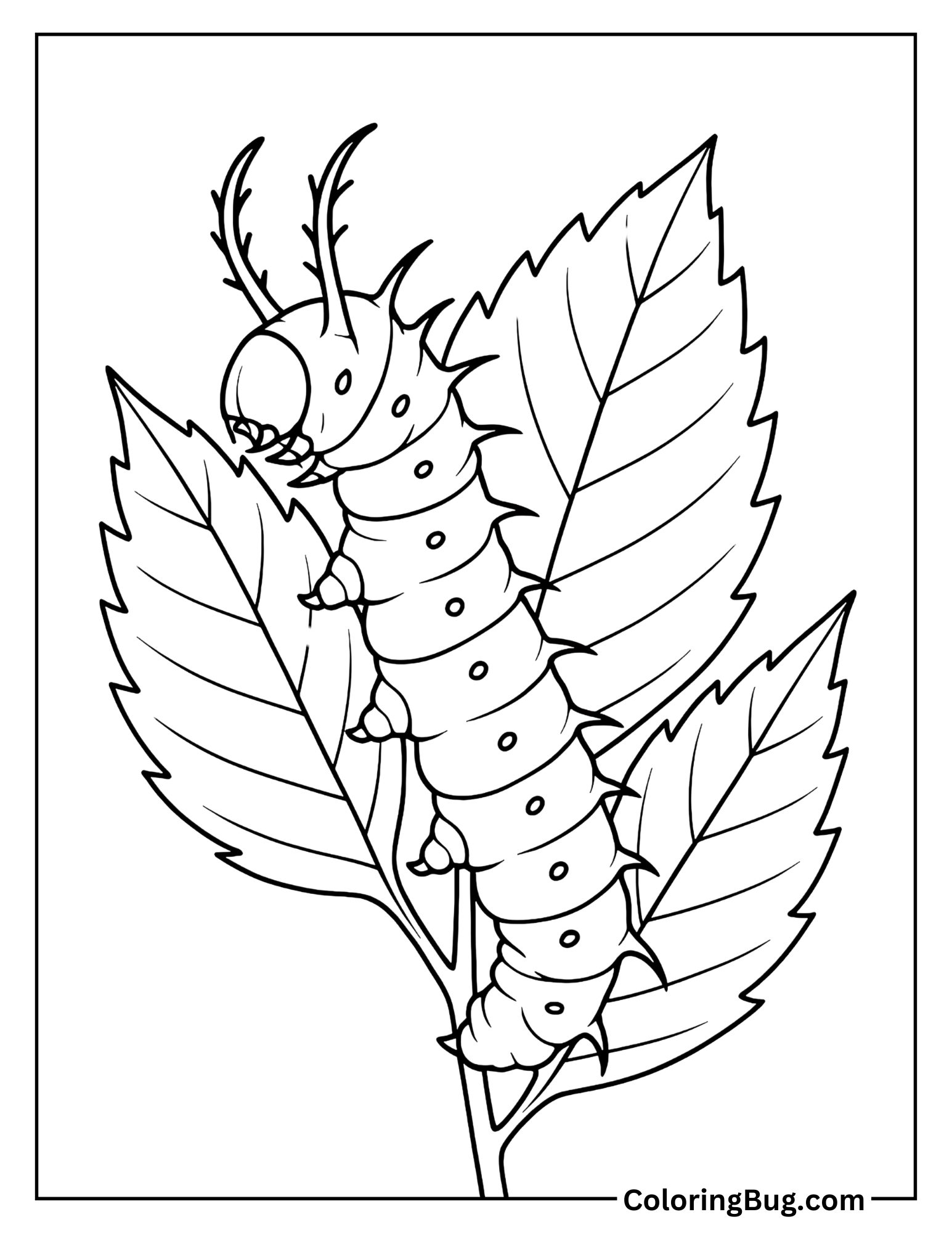 Hickory Horned Devil Caterpillar on a Hickory Leaf Coloring Sheet