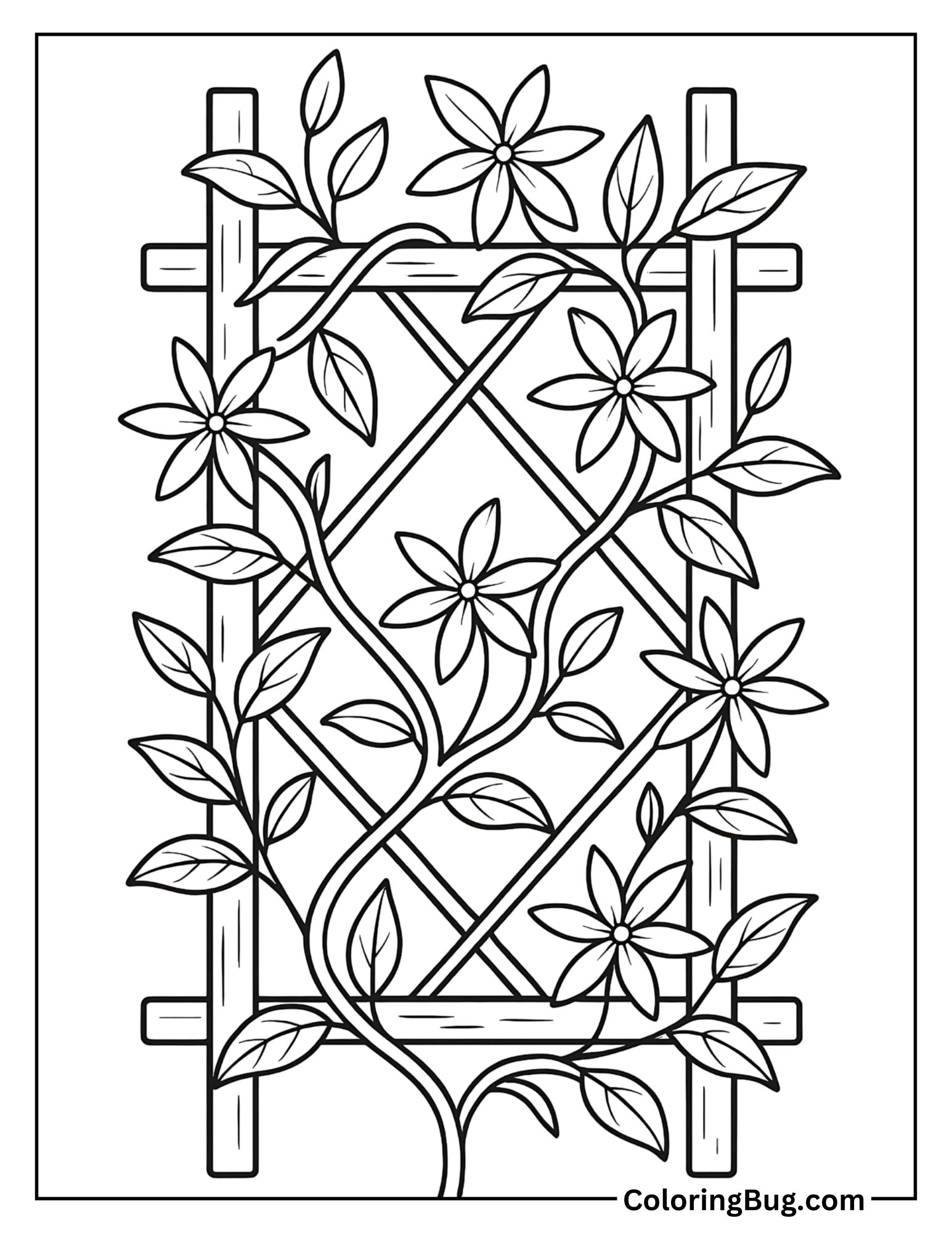 Jasmine Vine Wrapped Around Trellis Coloring Sheet