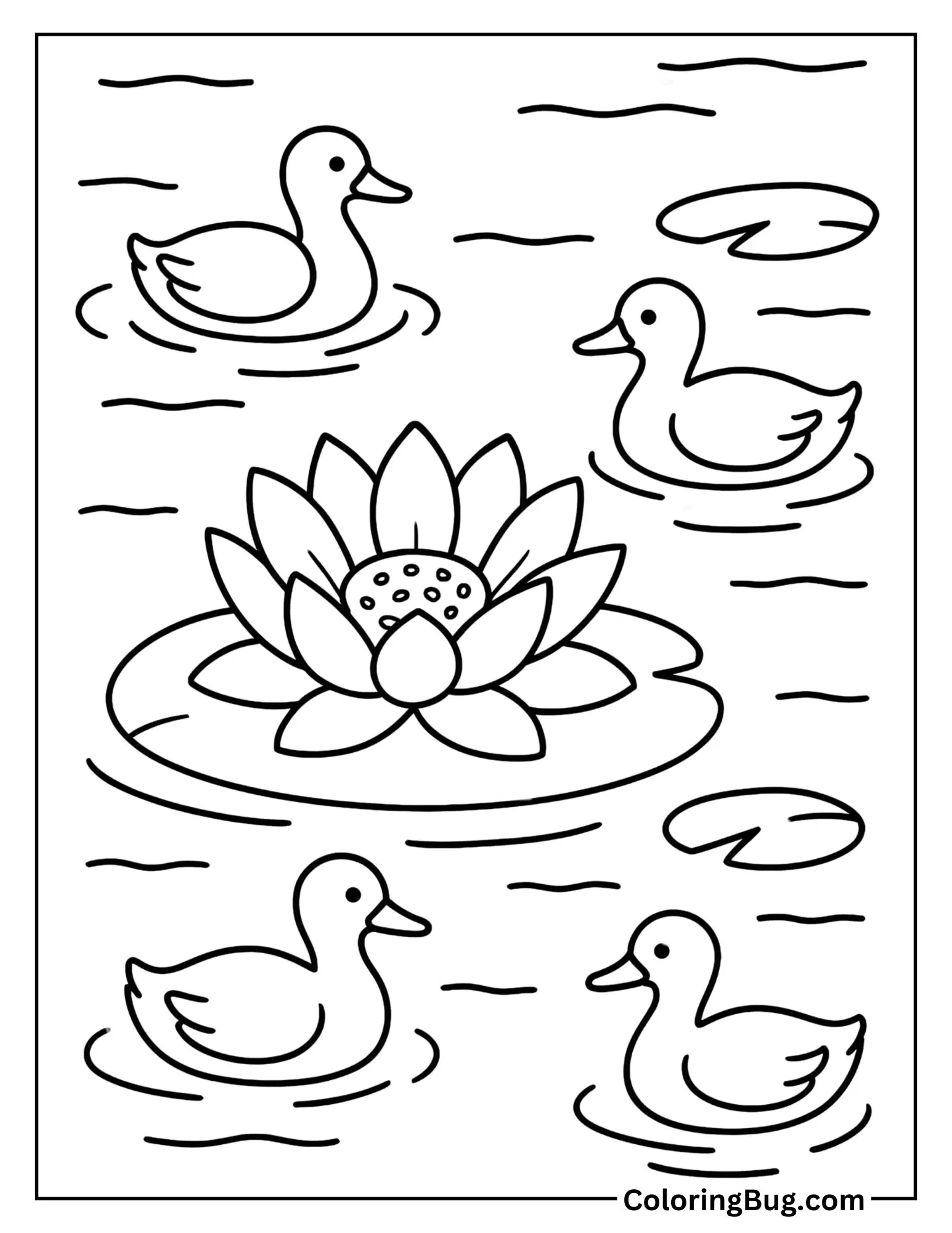Lotus Flower Floating on Water with Ducks Coloring Sheet