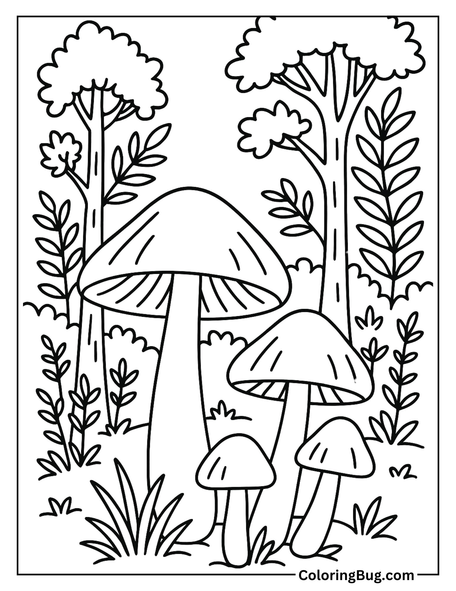 Native Forest Mushrooms in New Zealand Coloring Sheet