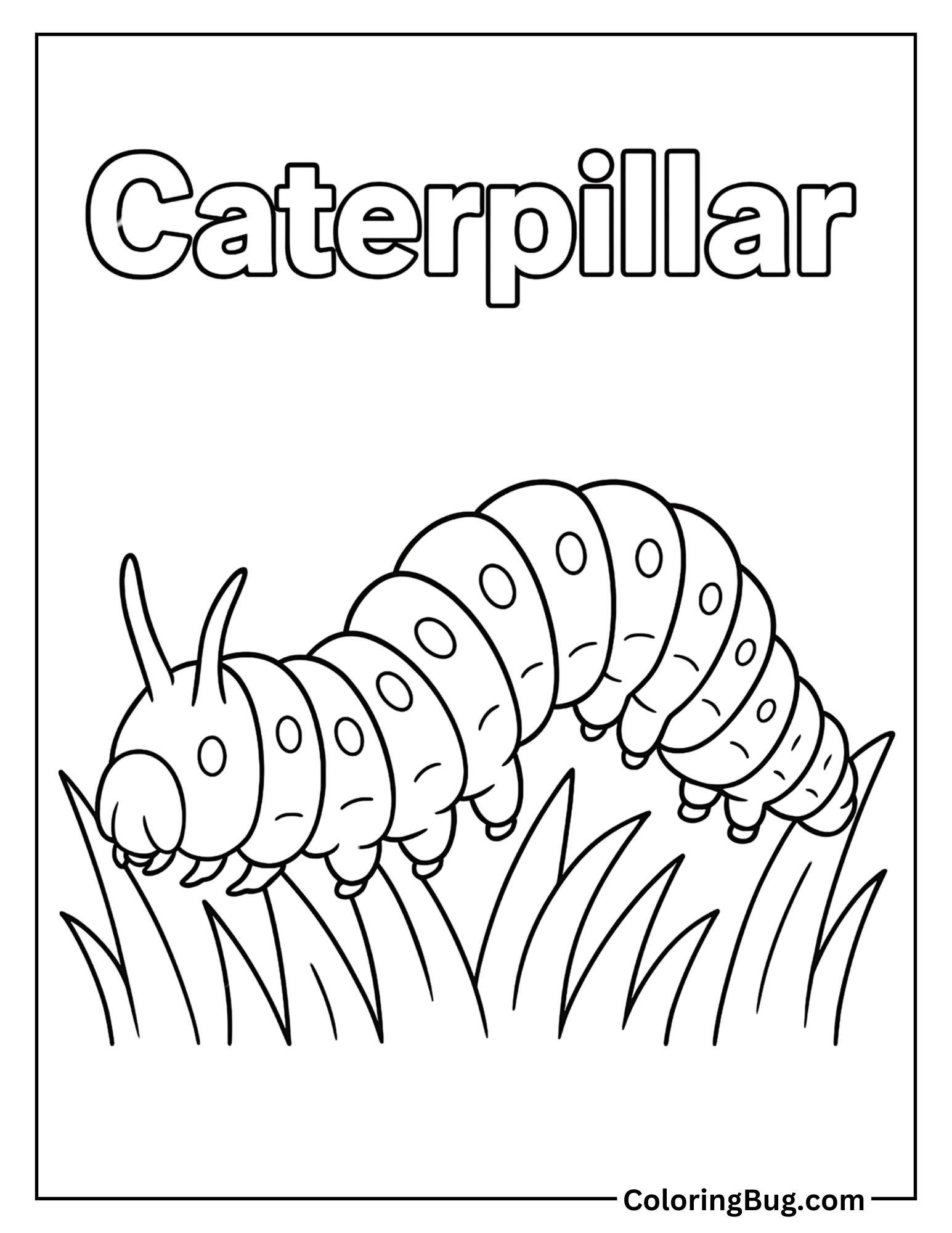 Realistic caterpillar with Text Coloring Sheet