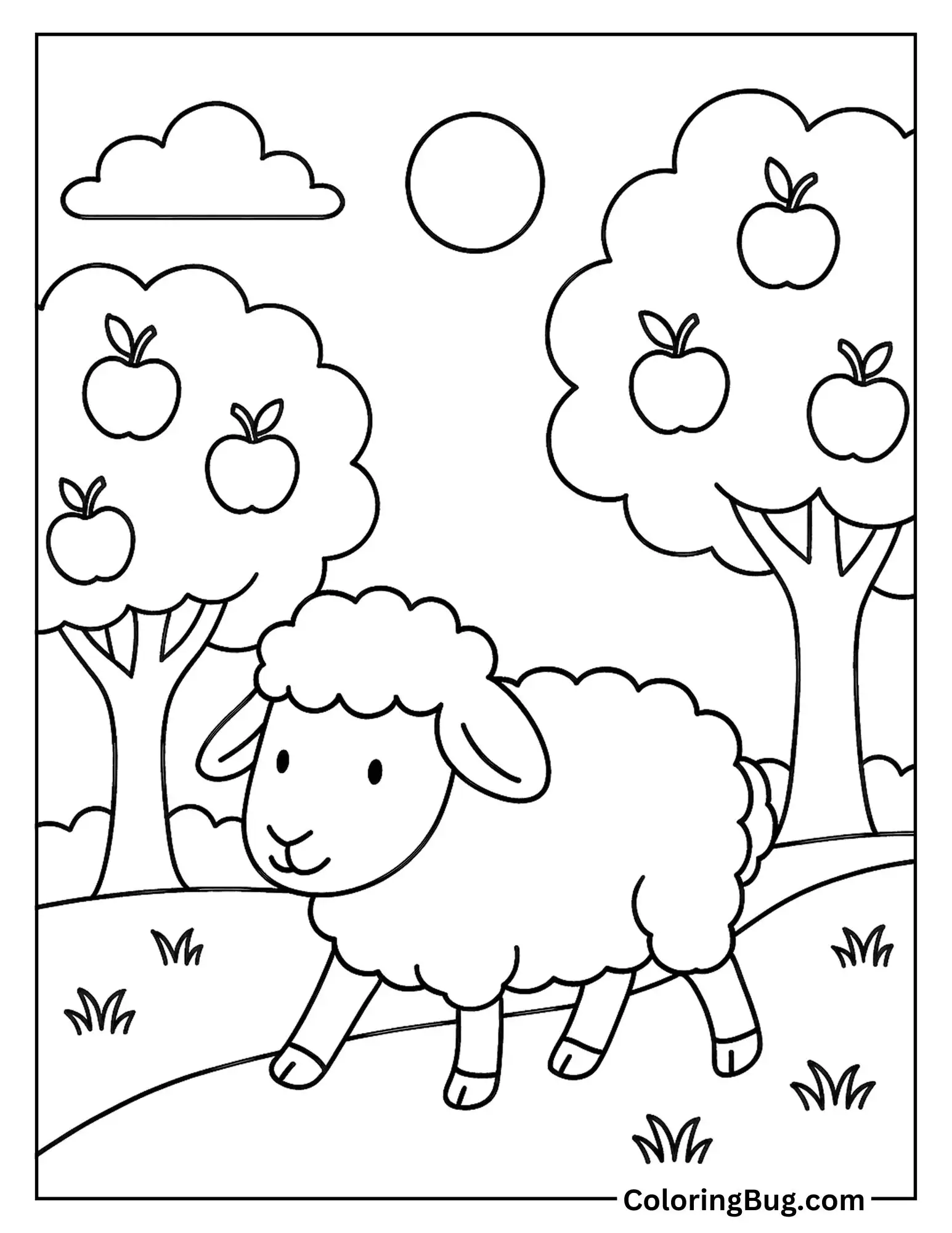 Sheep Walking Through Apple Orchard Coloring Sheet